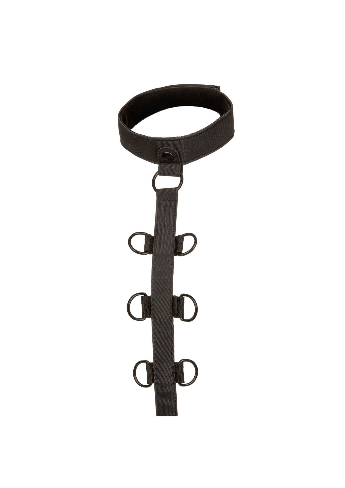 CalExotics Boundless Collar Restraint