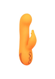 CalExotics Montecito Muse