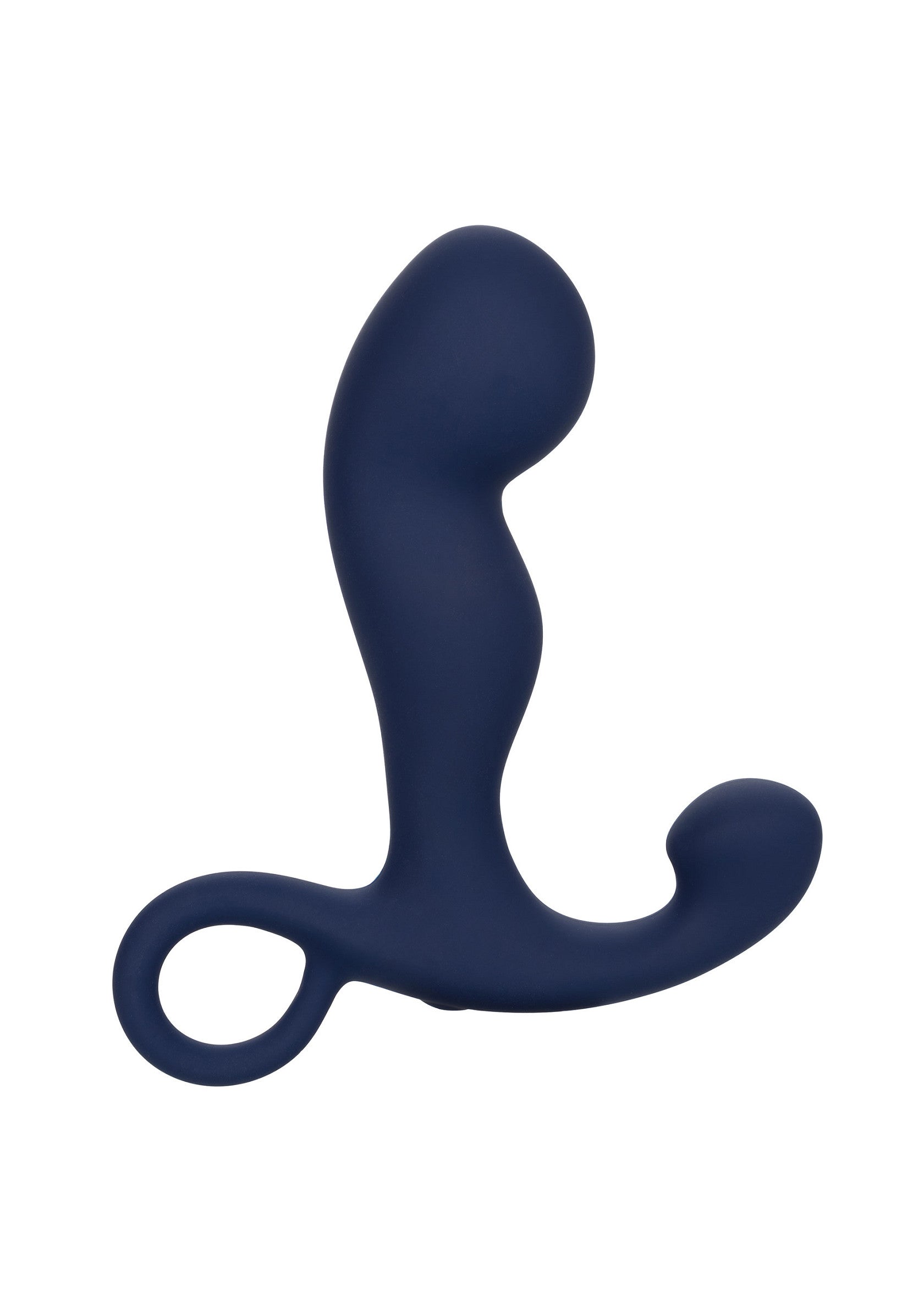 CalExotics Rechargeable Command Probe