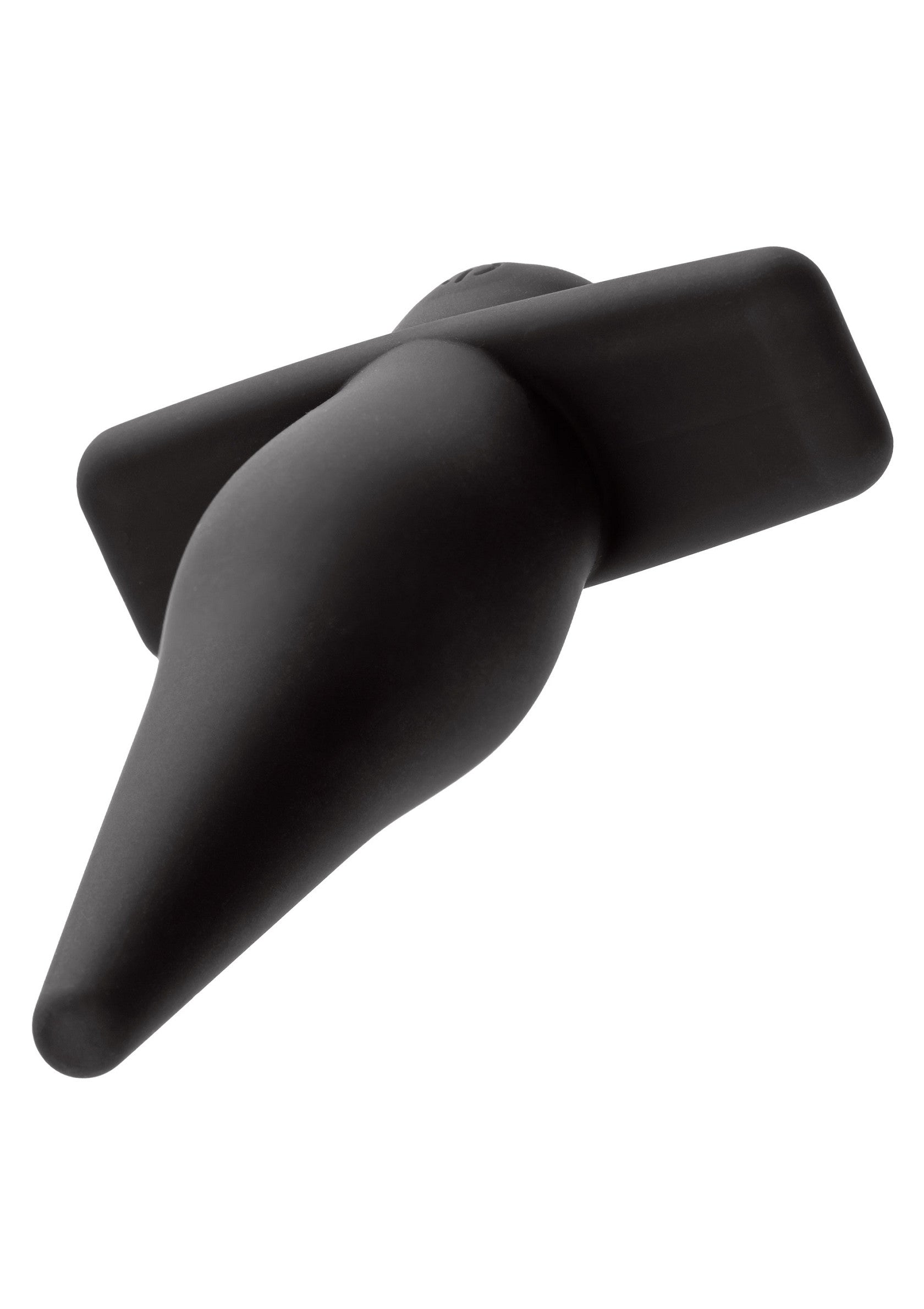 CalExotics High Intensity Probe
