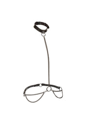 CalExotics Chain Halter & Collar Plus
