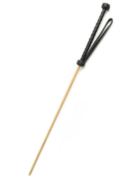 Hidden Desire The Obedience Cane