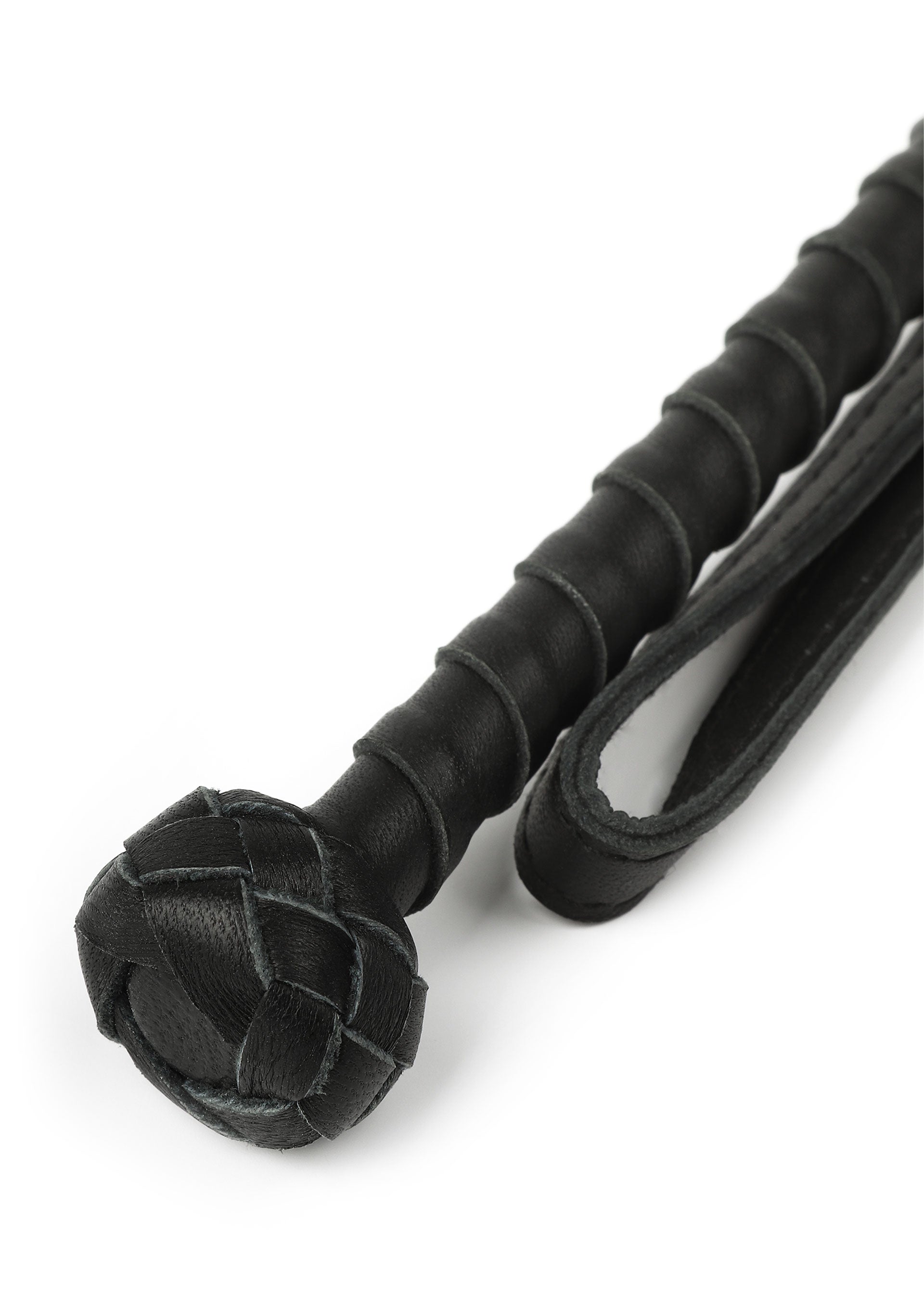 Hidden Desire The Obedience Cane