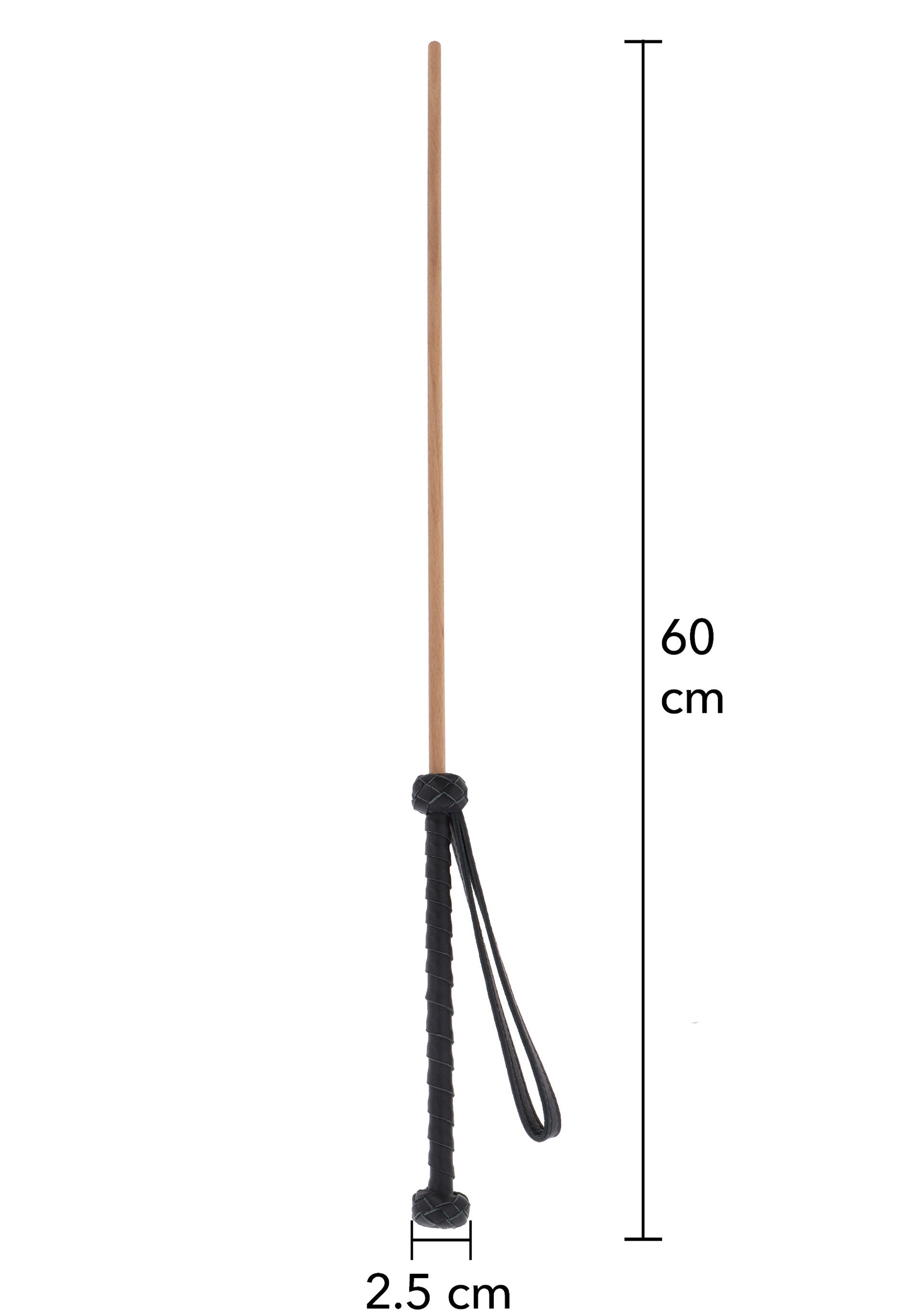Hidden Desire The Obedience Cane