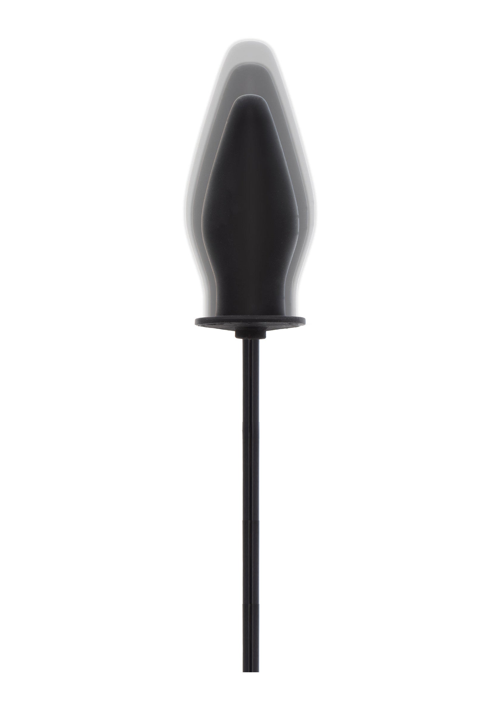 Hidden Desire Inflatable Butt Plug Advanced