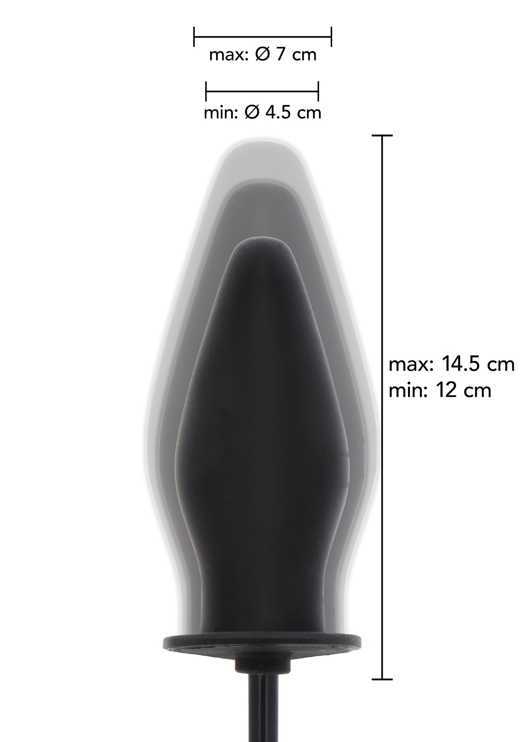 Hidden Desire Inflatable Butt Plug Advanced