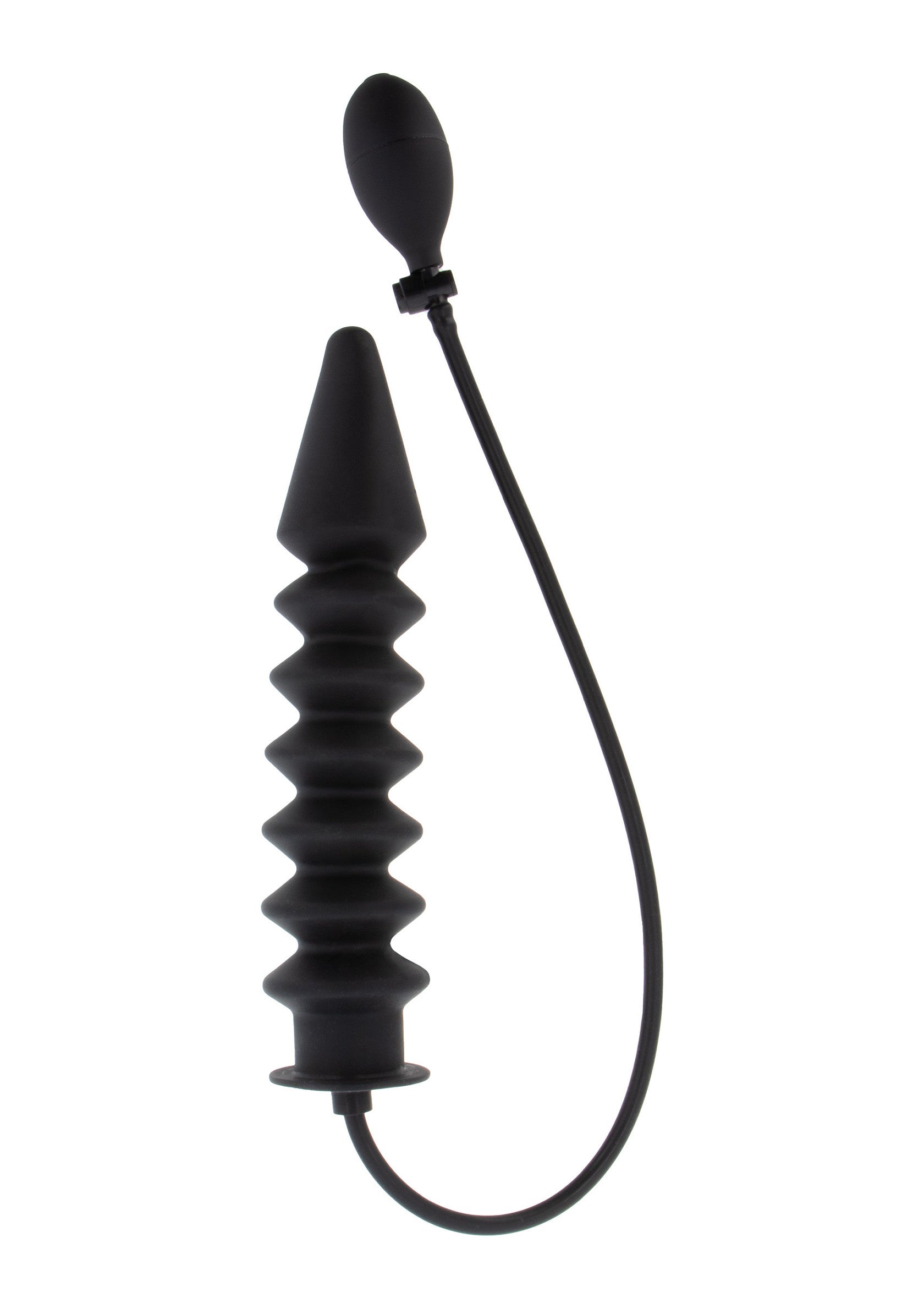 Hidden Desire Inflatable Ribbed Plug Expert