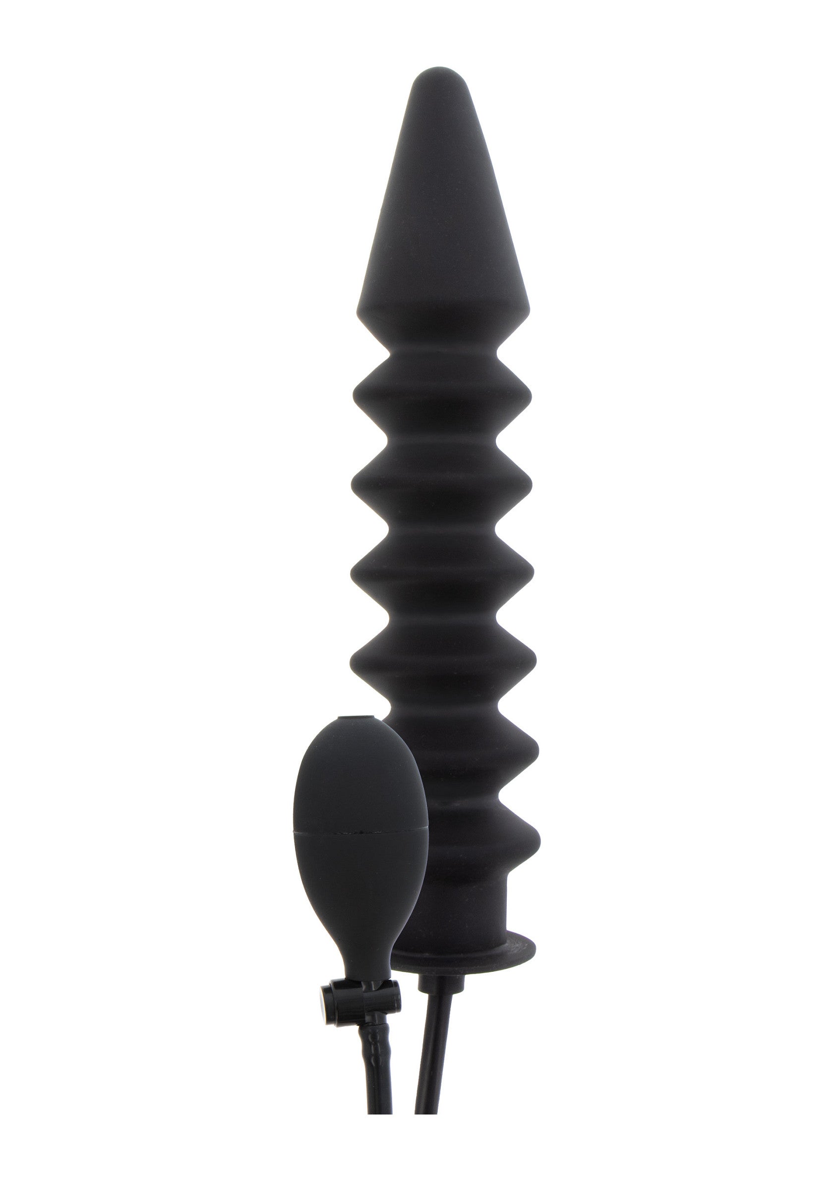 Hidden Desire Inflatable Ribbed Plug Expert
