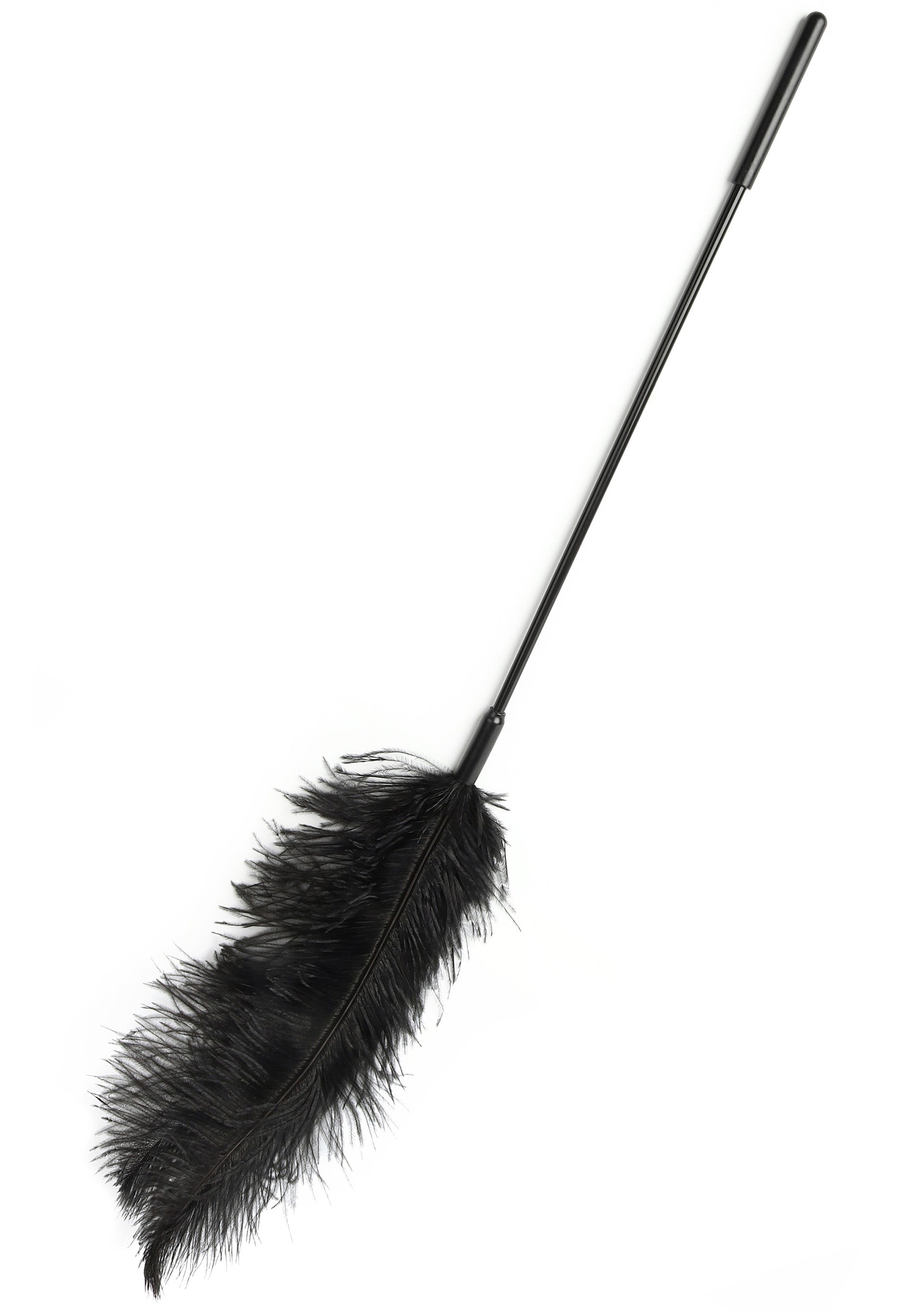 Hidden Desire Double Feather Tickler