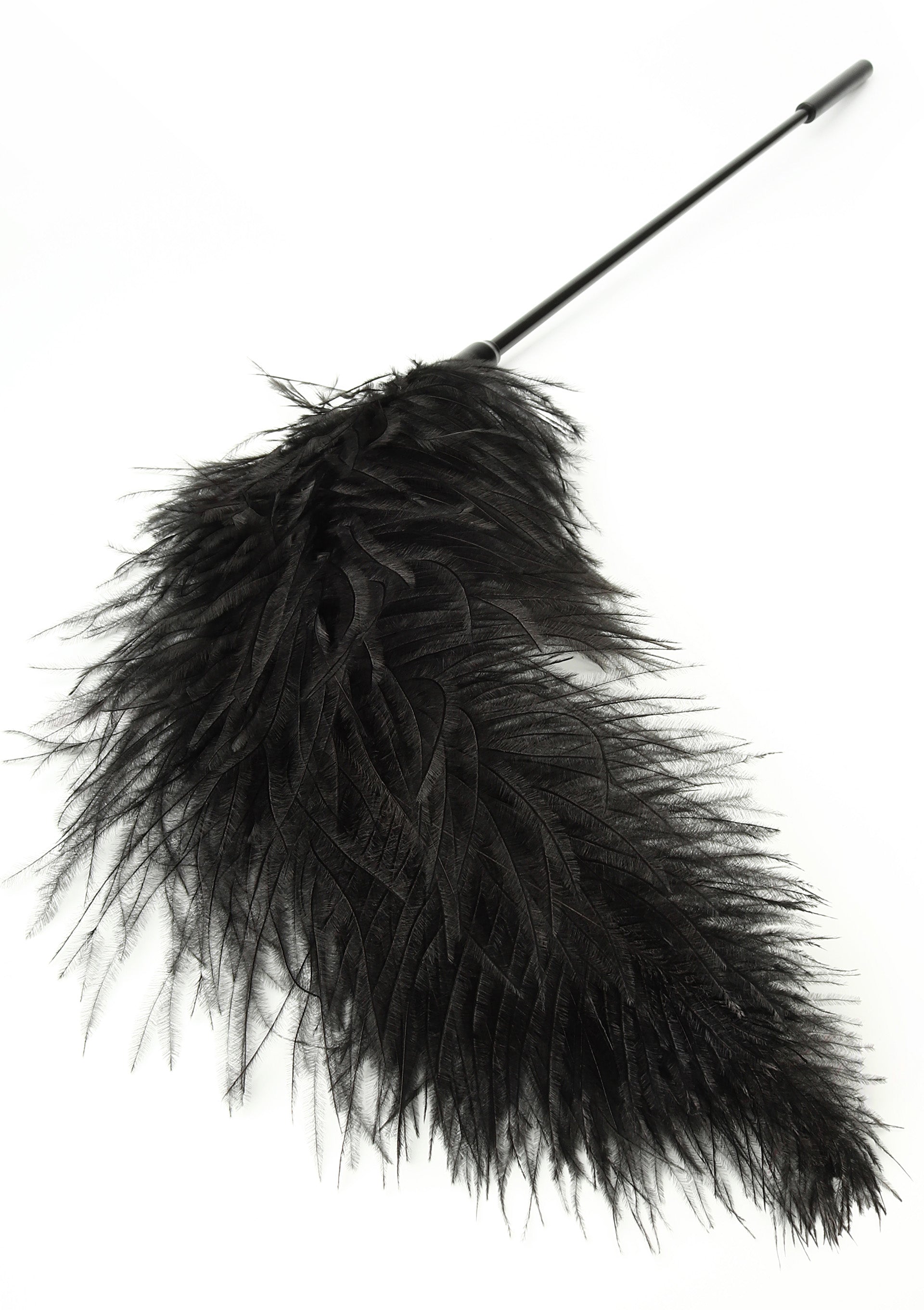 Hidden Desire Double Feather Tickler
