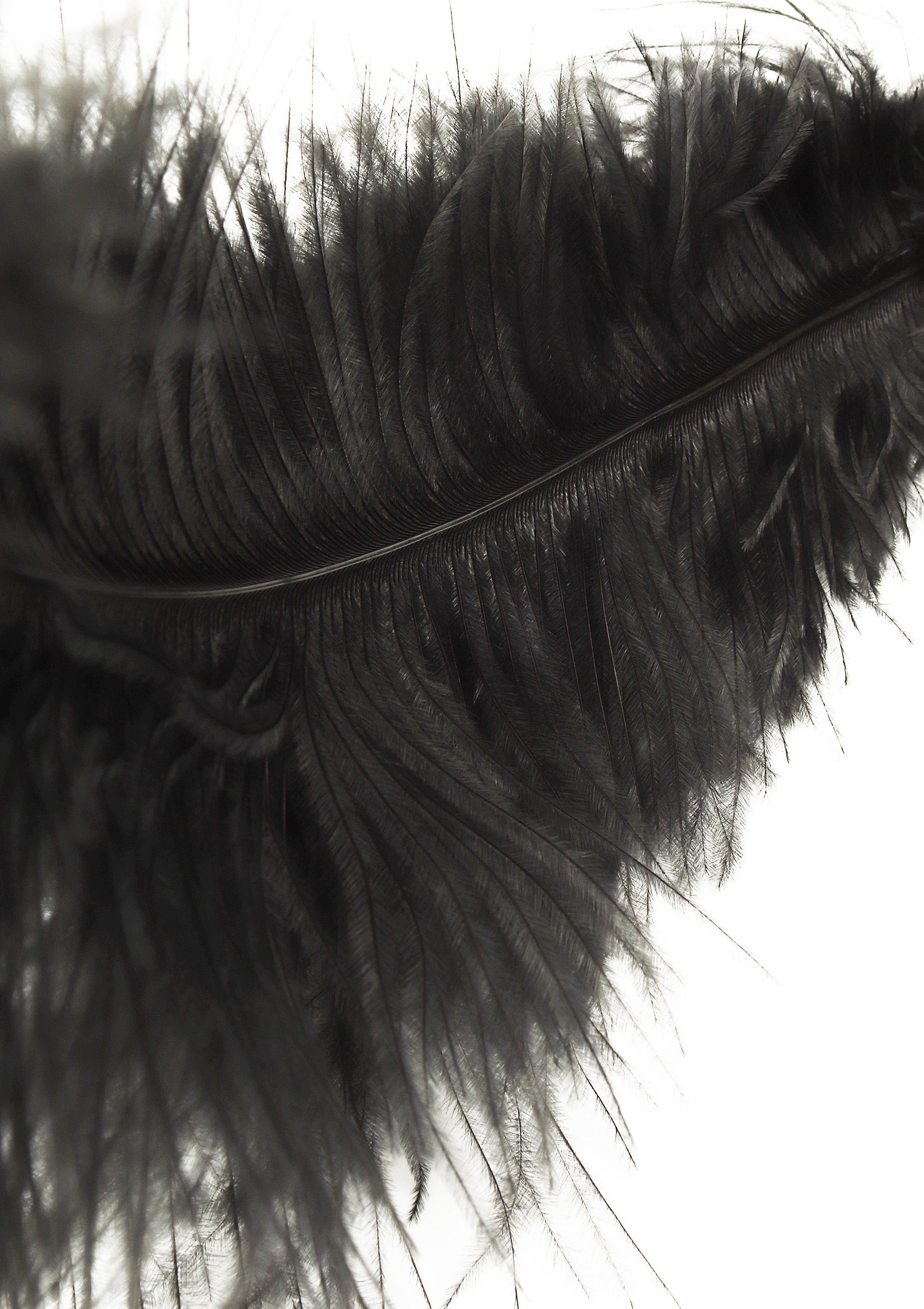 Hidden Desire Double Feather Tickler