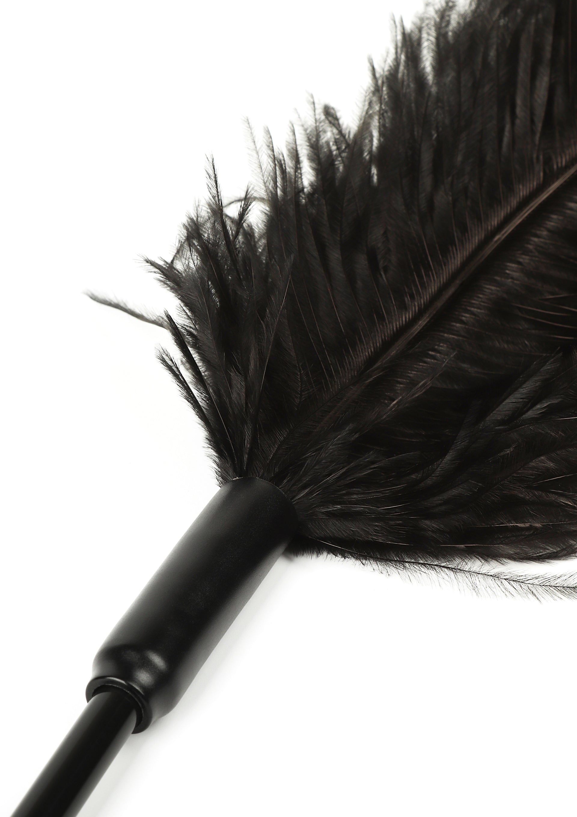 Hidden Desire Double Feather Tickler