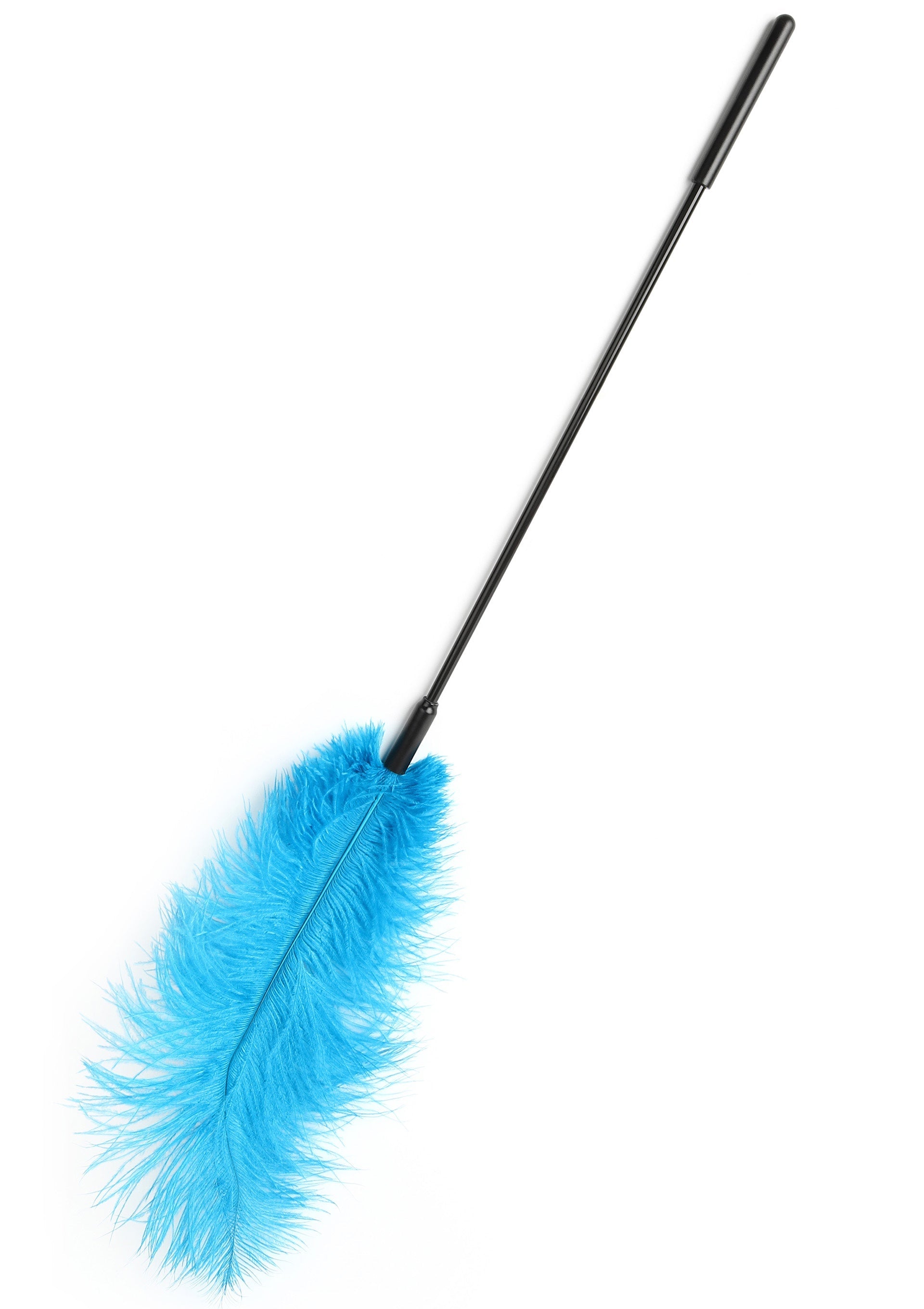 Hidden Desire Double Feather Tickler