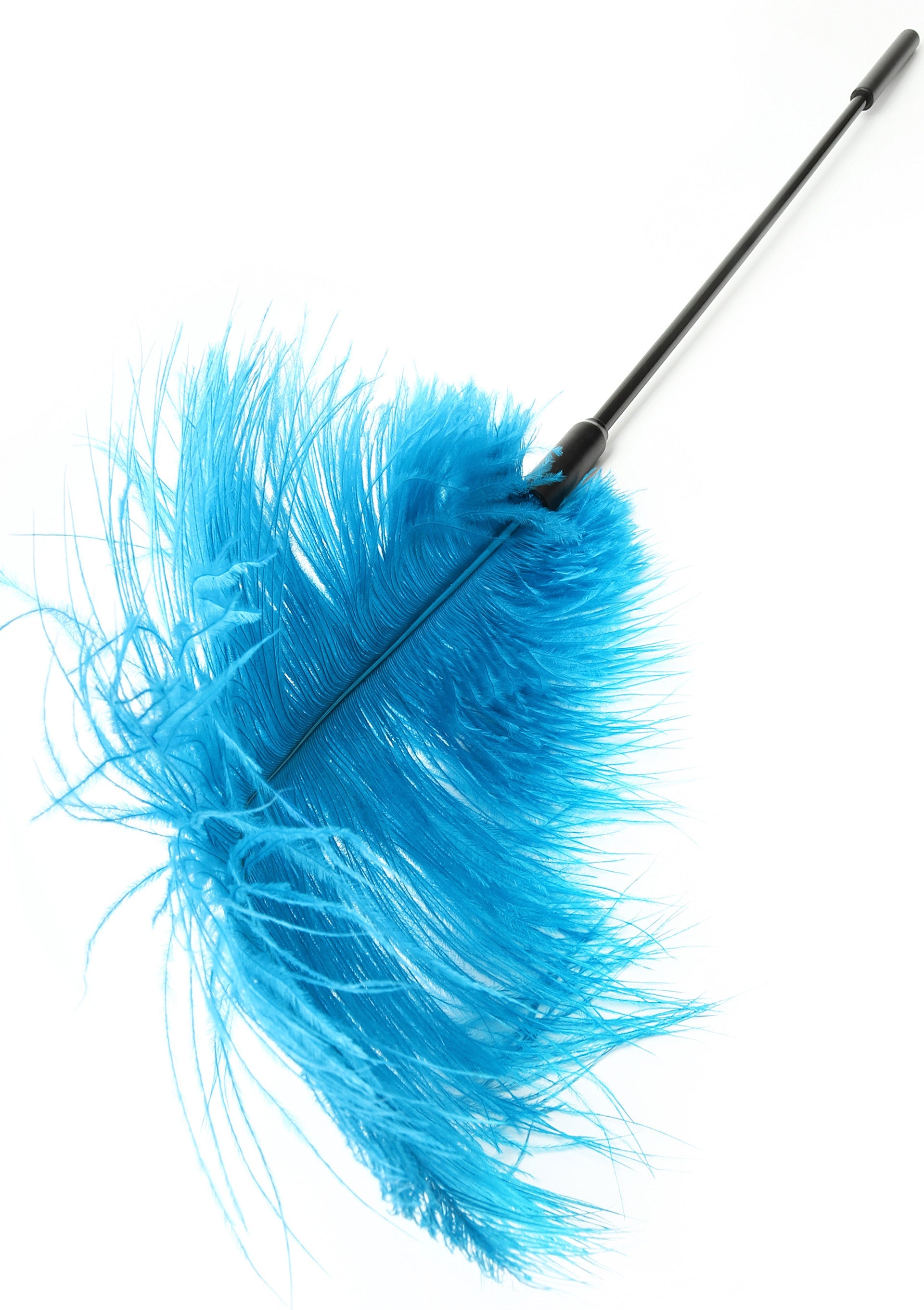 Hidden Desire Double Feather Tickler
