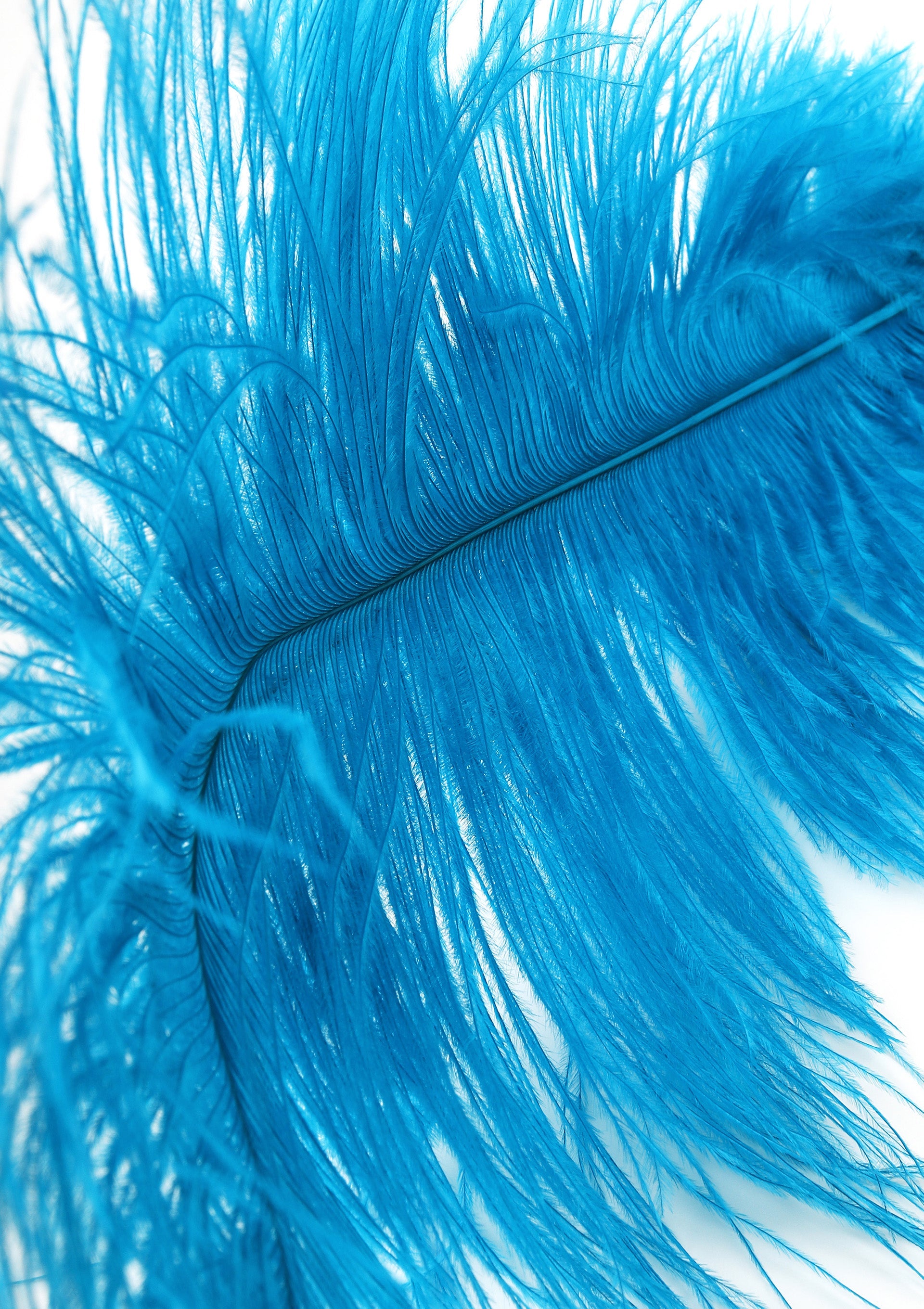 Hidden Desire Double Feather Tickler