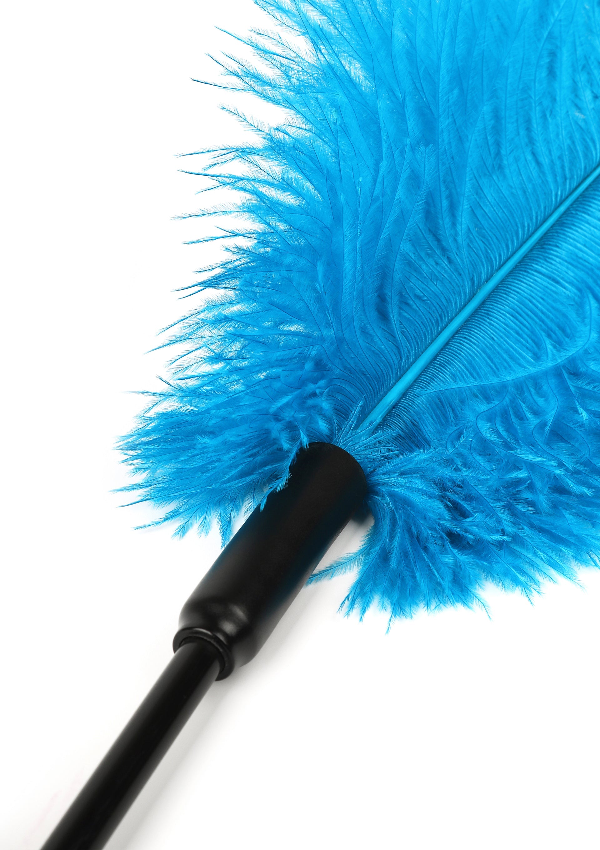 Hidden Desire Double Feather Tickler