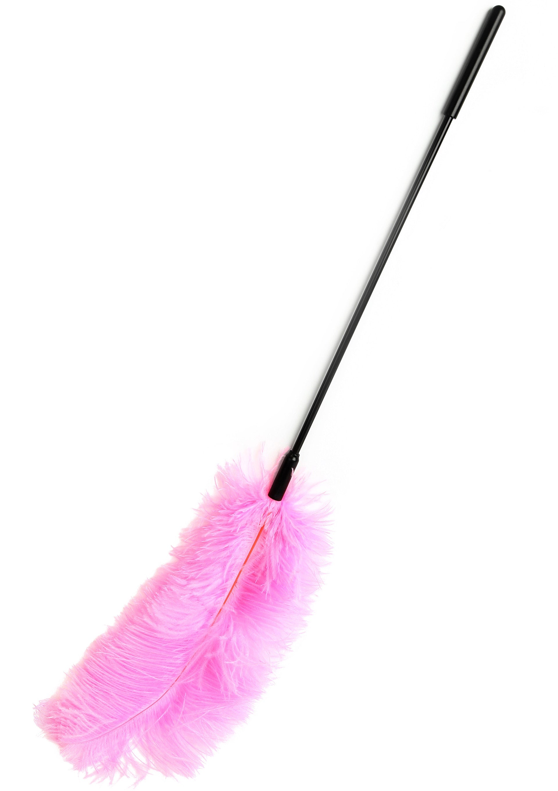 Hidden Desire Double Feather Tickler