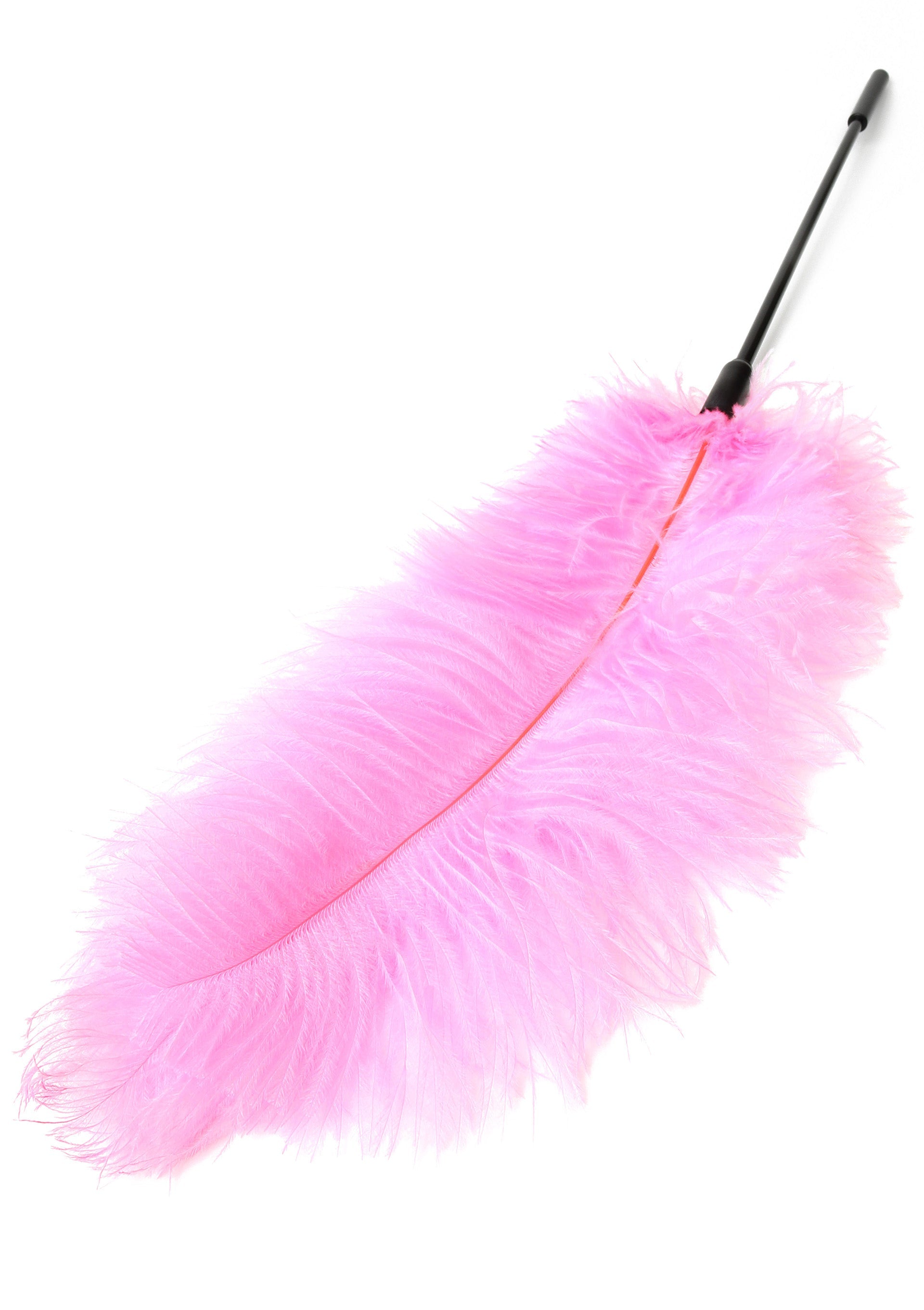 Hidden Desire Double Feather Tickler
