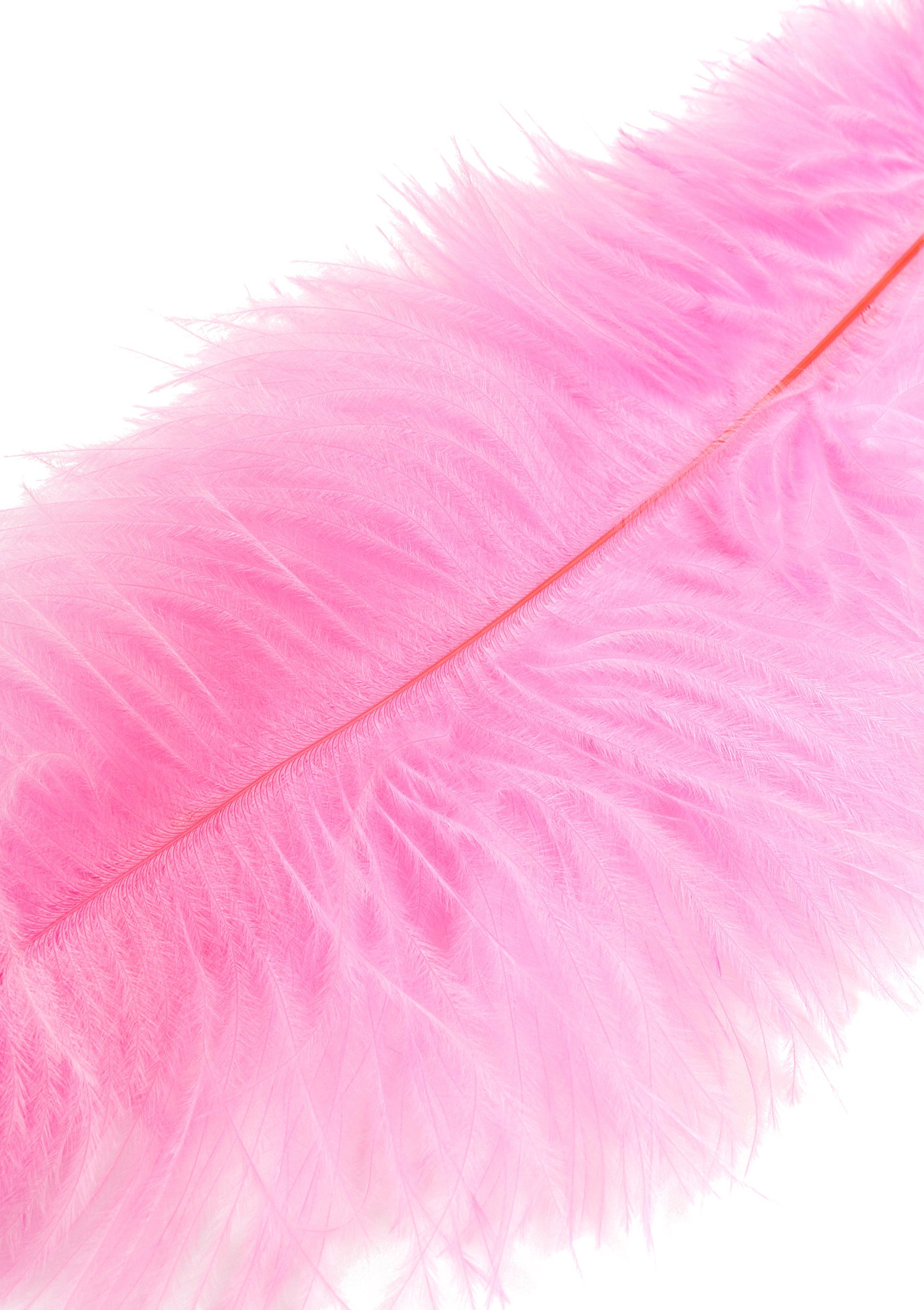 Hidden Desire Double Feather Tickler