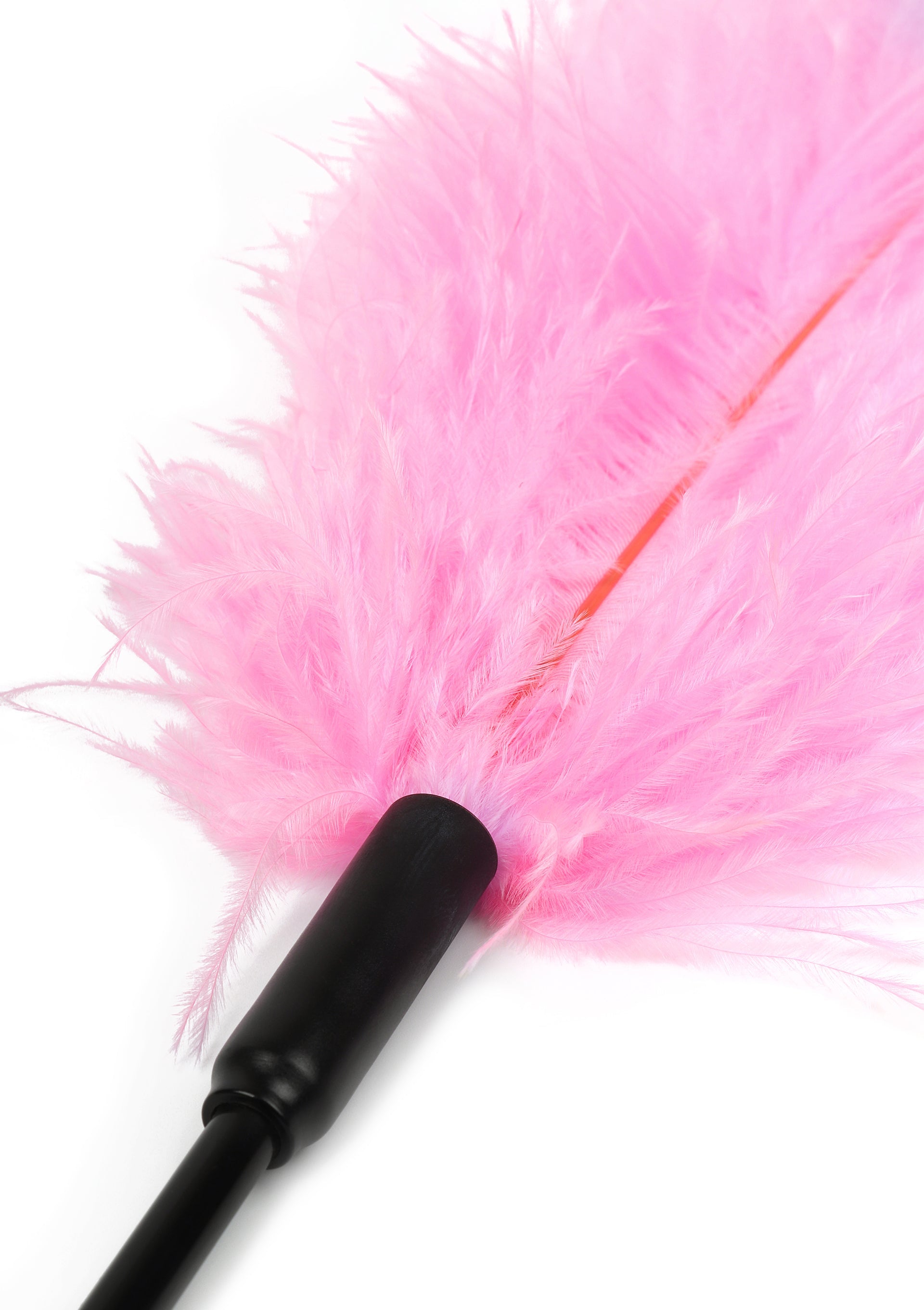 Hidden Desire Double Feather Tickler