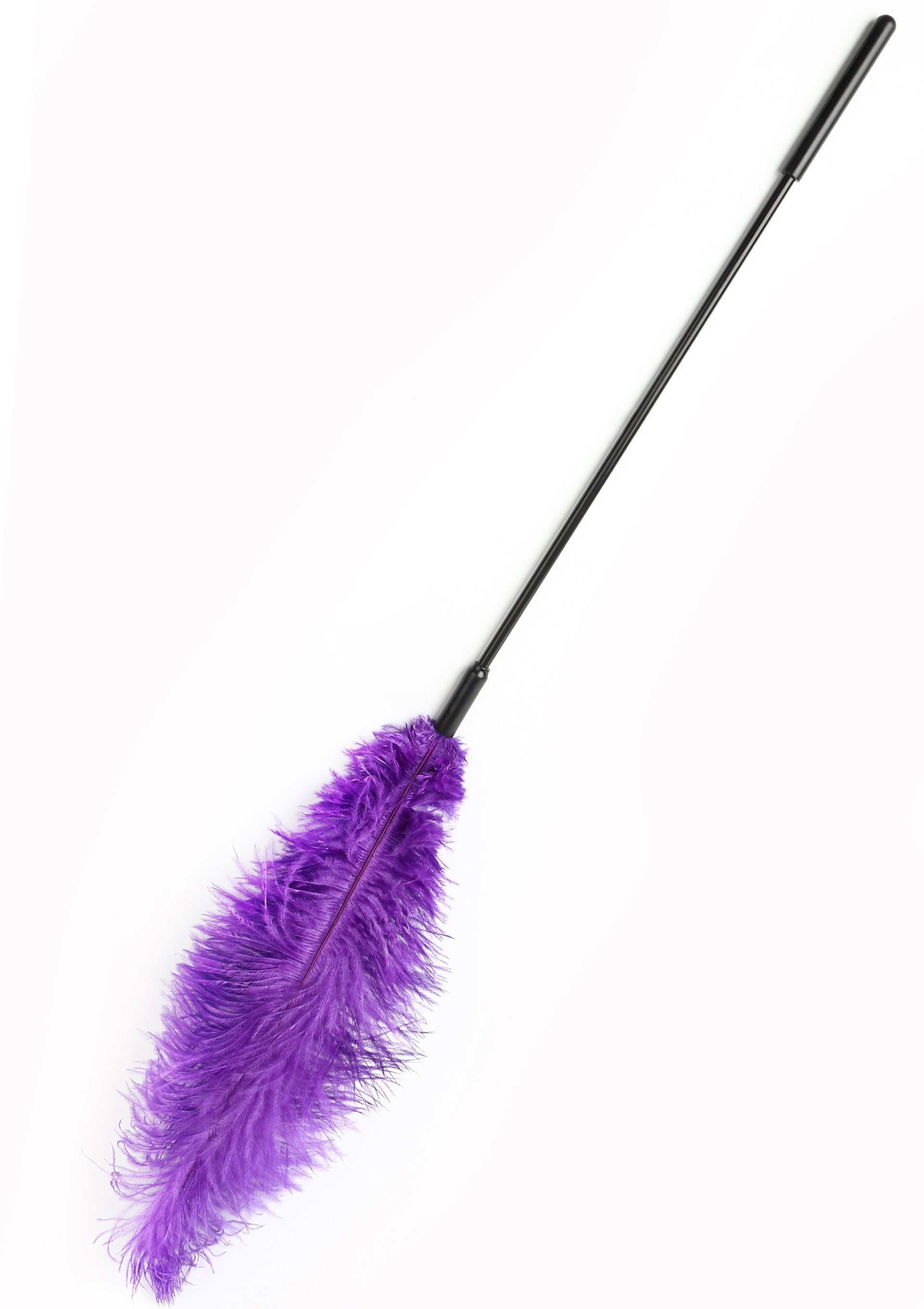Hidden Desire Double Feather Tickler