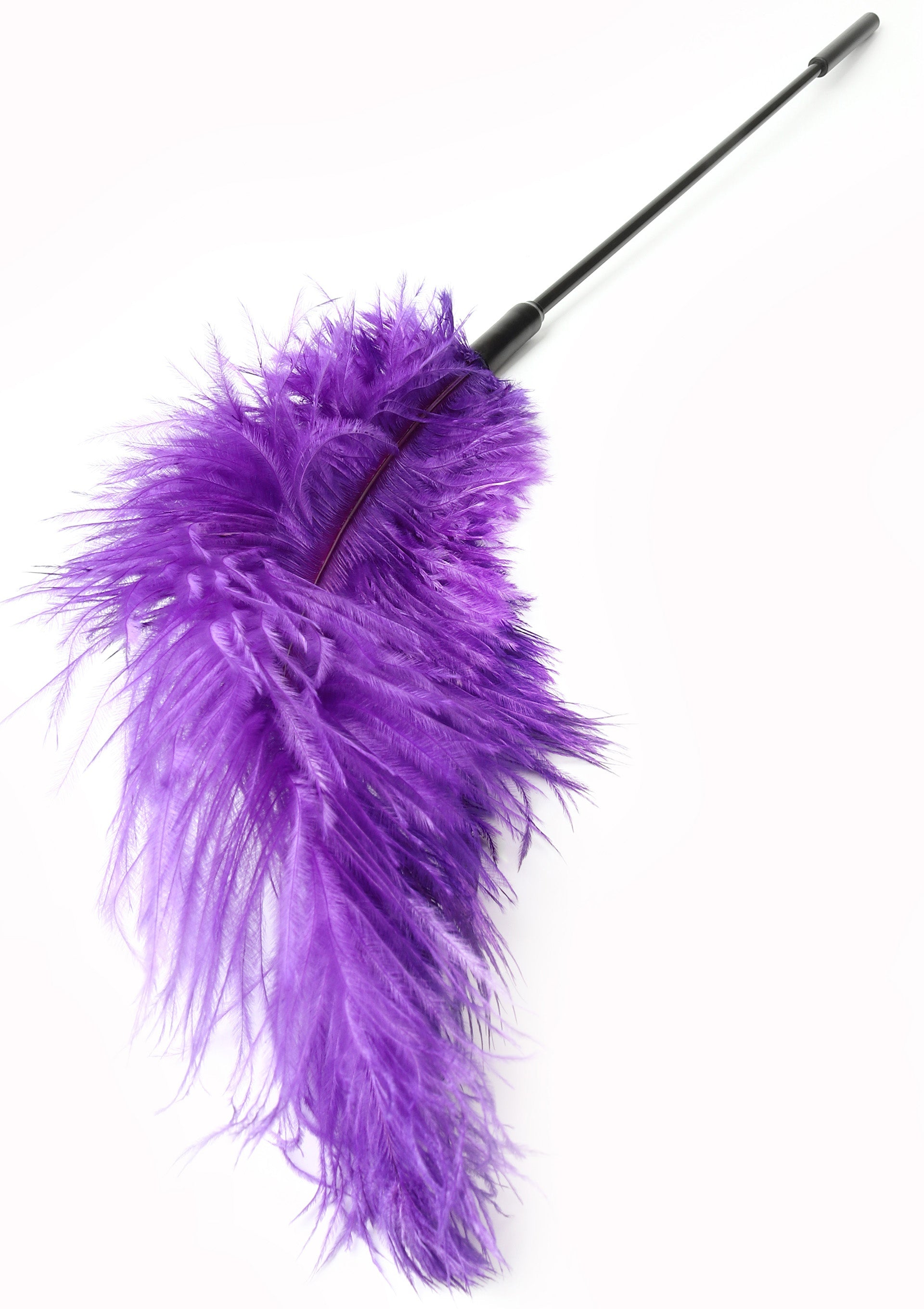 Hidden Desire Double Feather Tickler