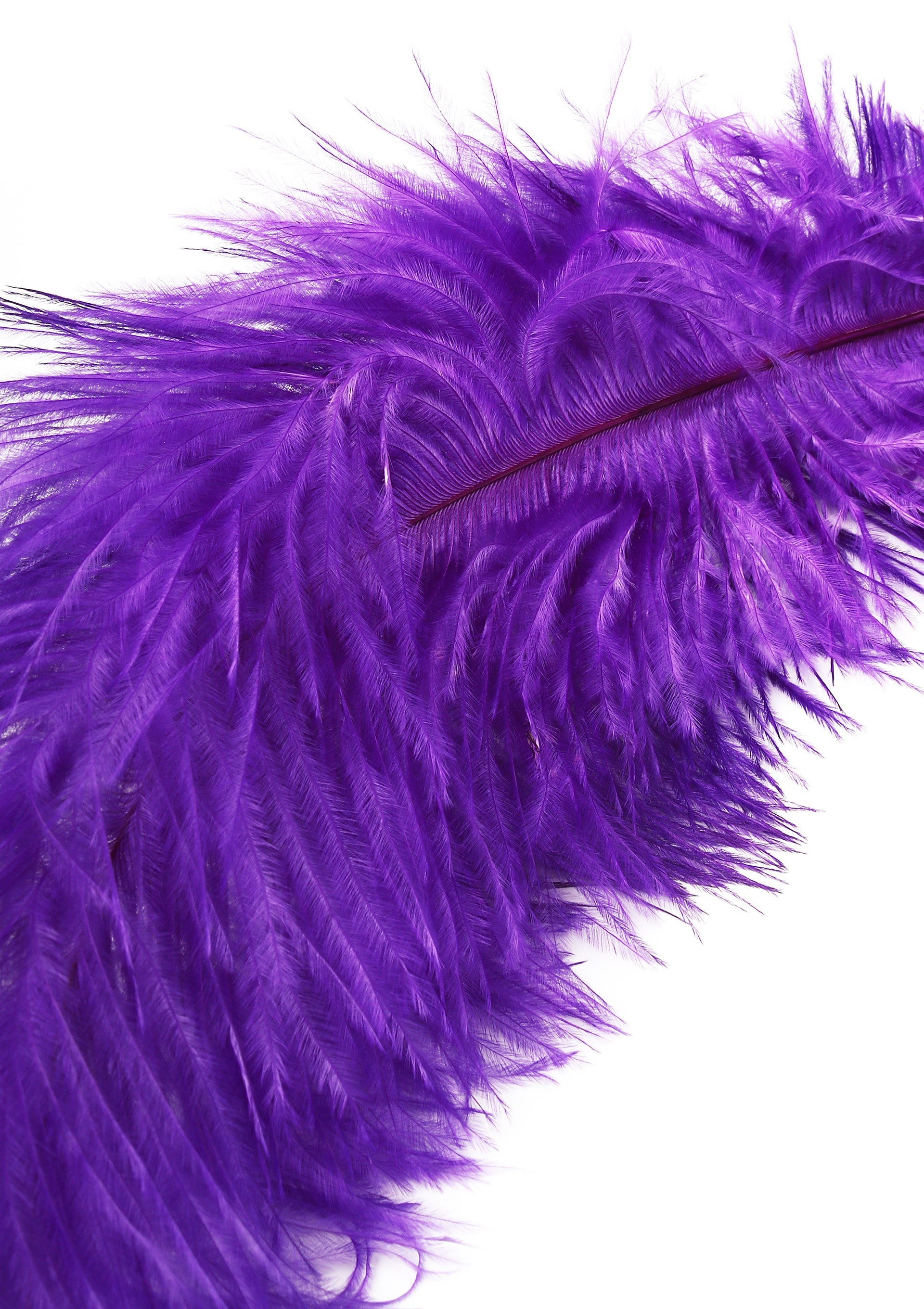 Hidden Desire Double Feather Tickler