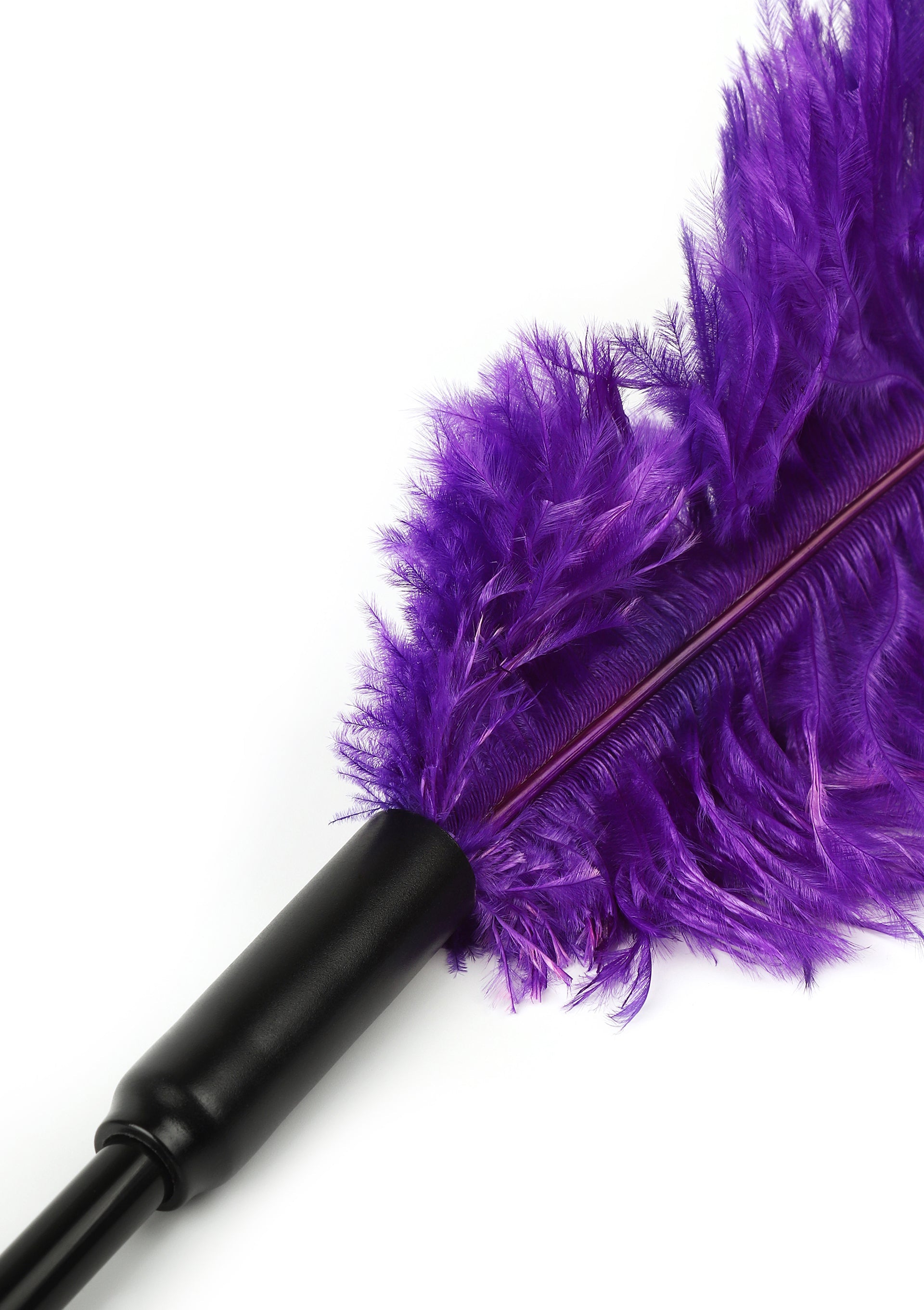 Hidden Desire Double Feather Tickler