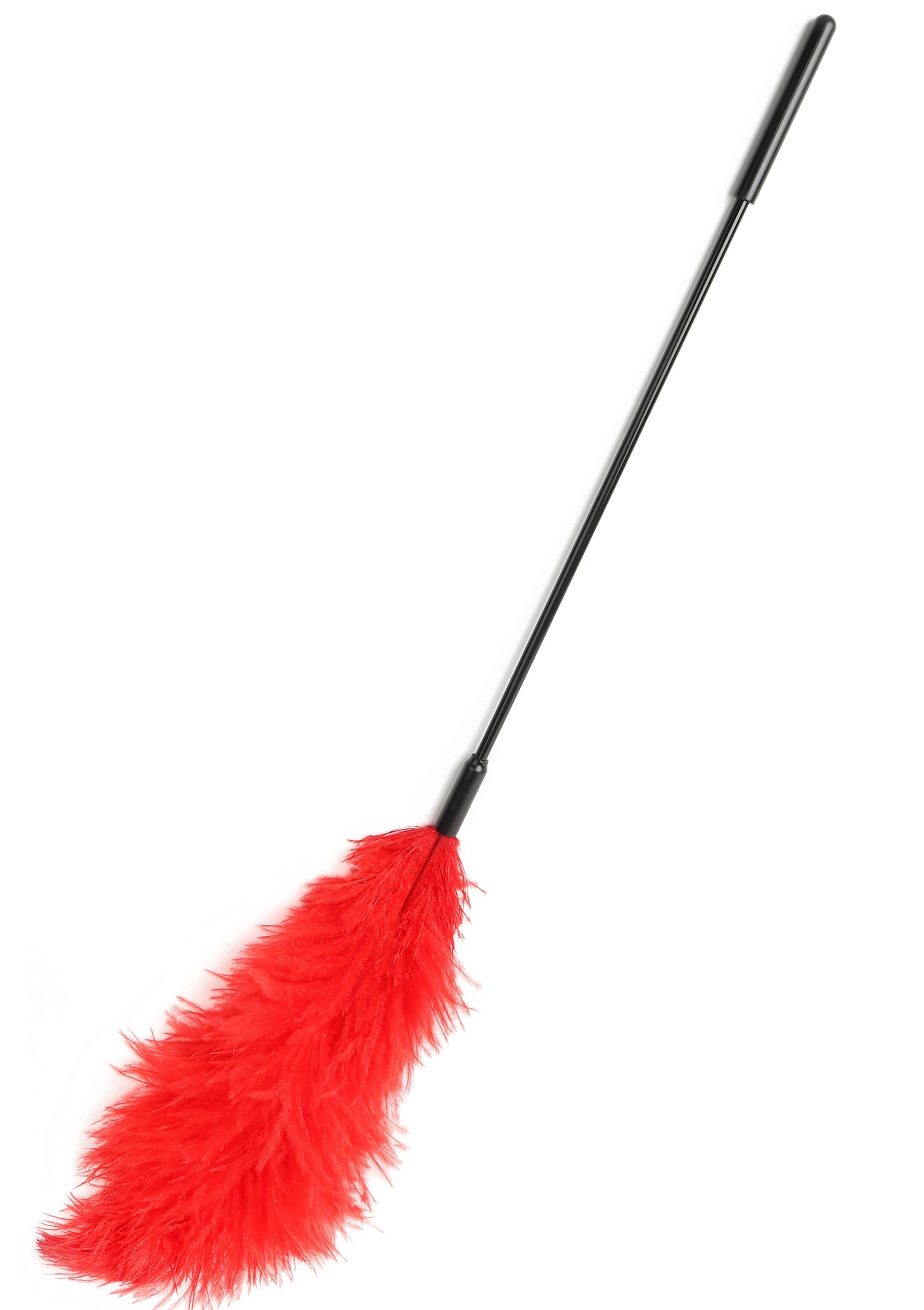 Hidden Desire Double Feather Tickler