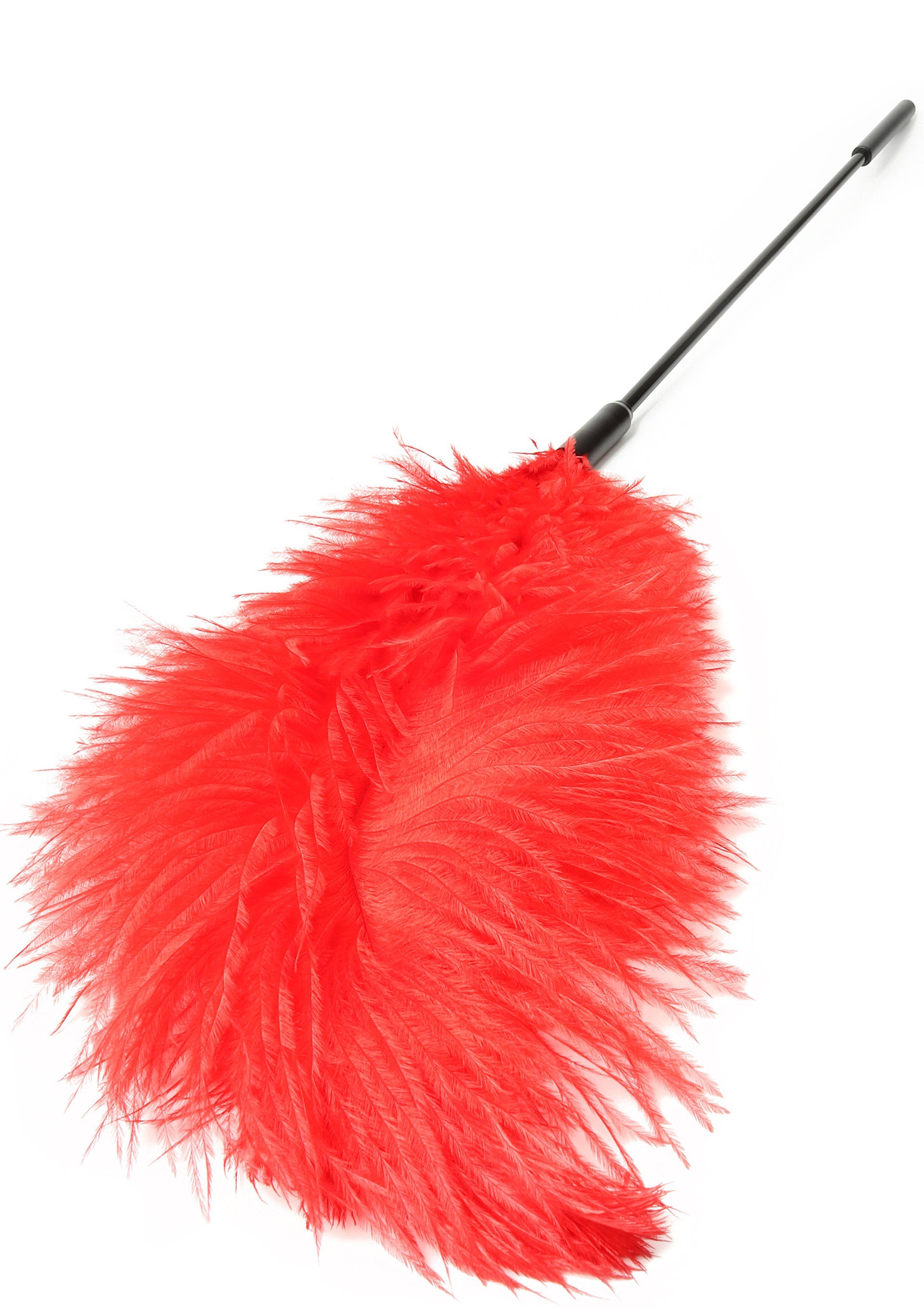 Hidden Desire Double Feather Tickler