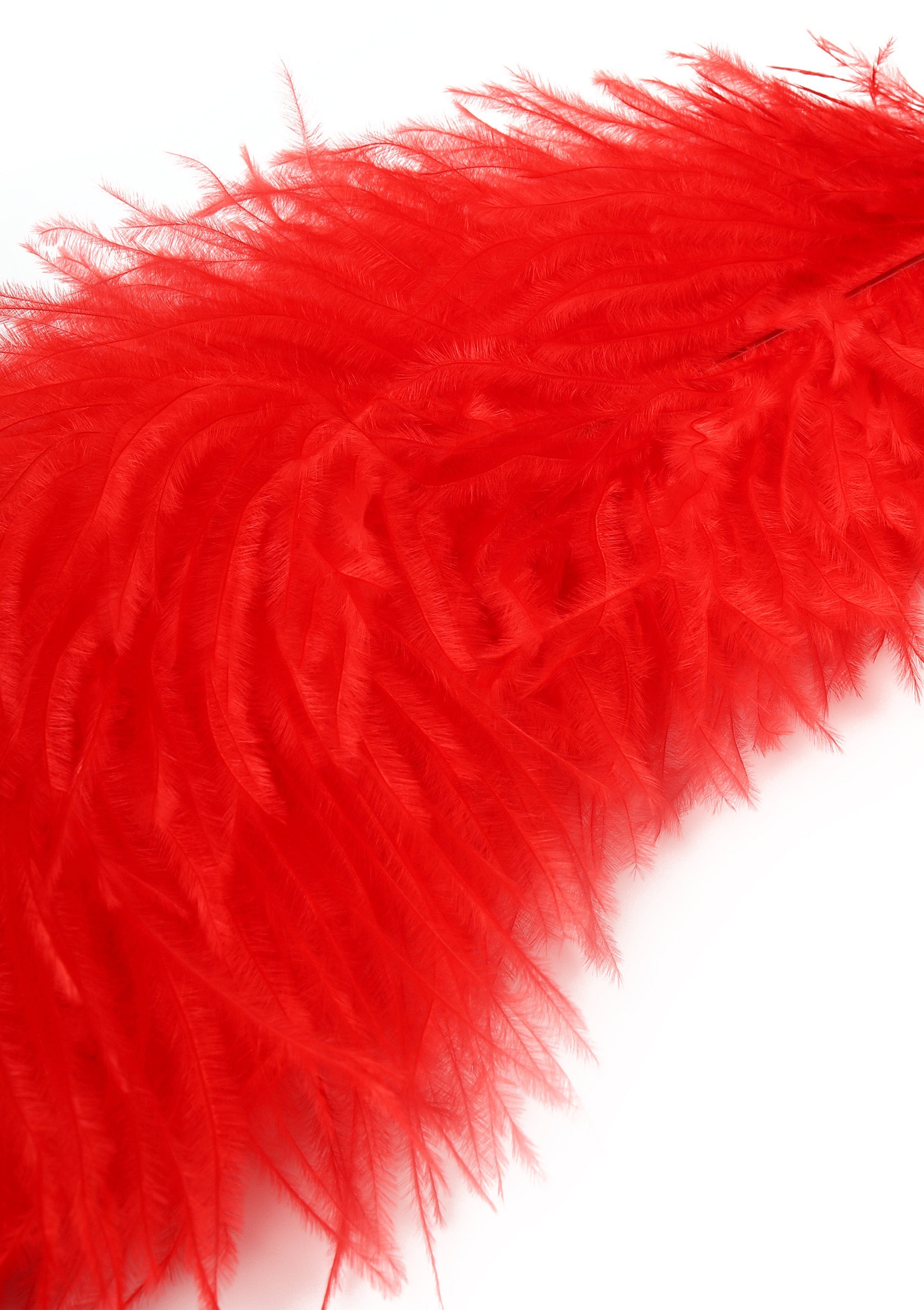 Hidden Desire Double Feather Tickler