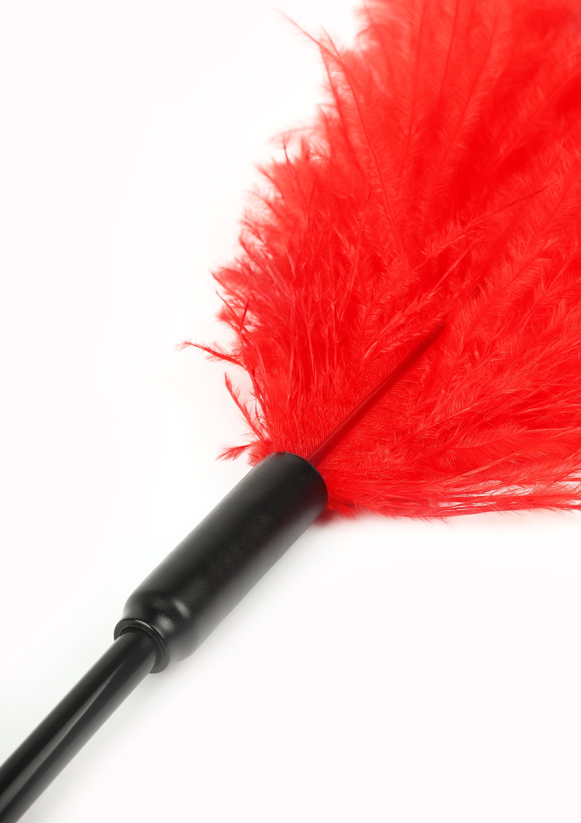 Hidden Desire Double Feather Tickler