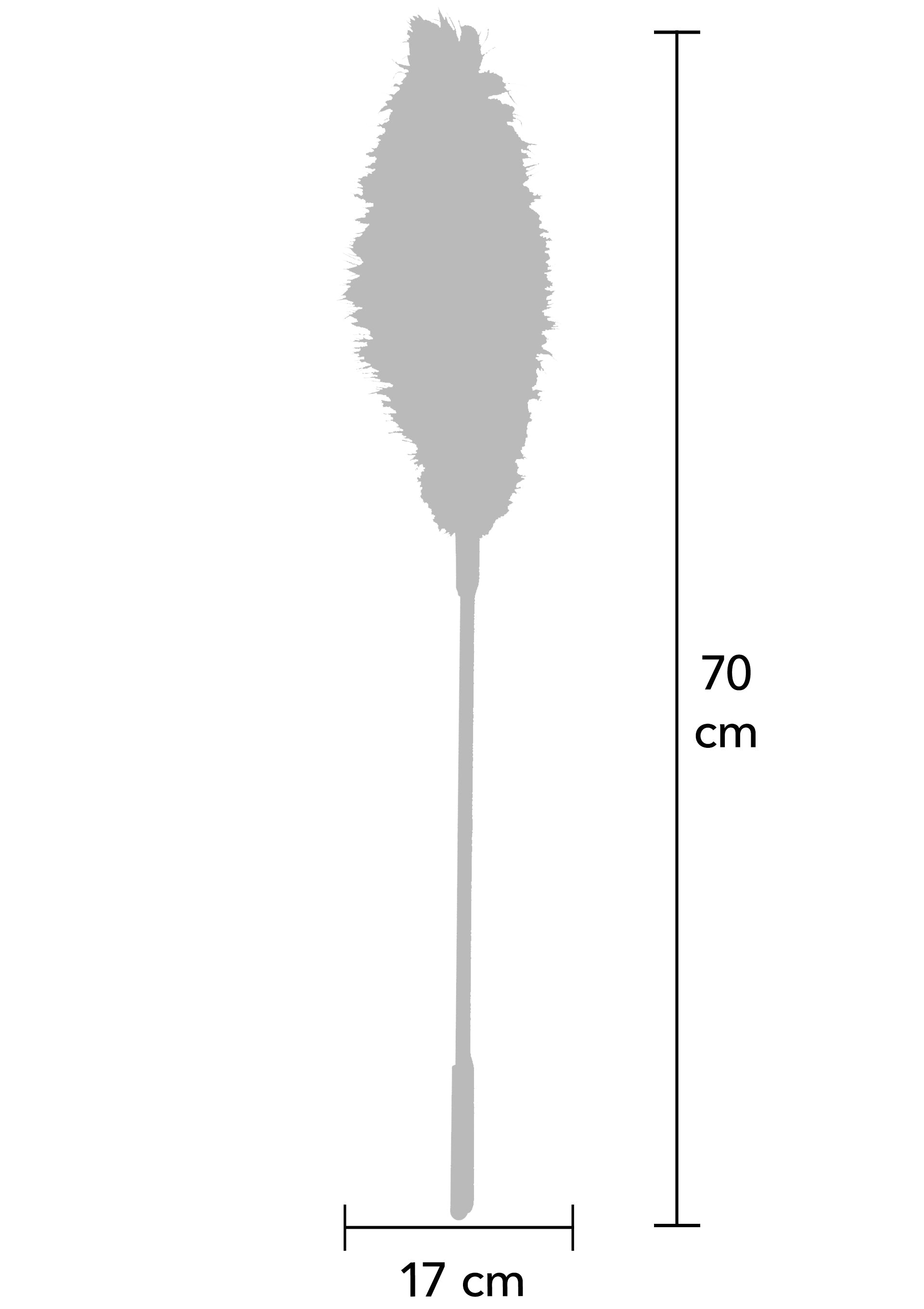Hidden Desire Double Feather Tickler