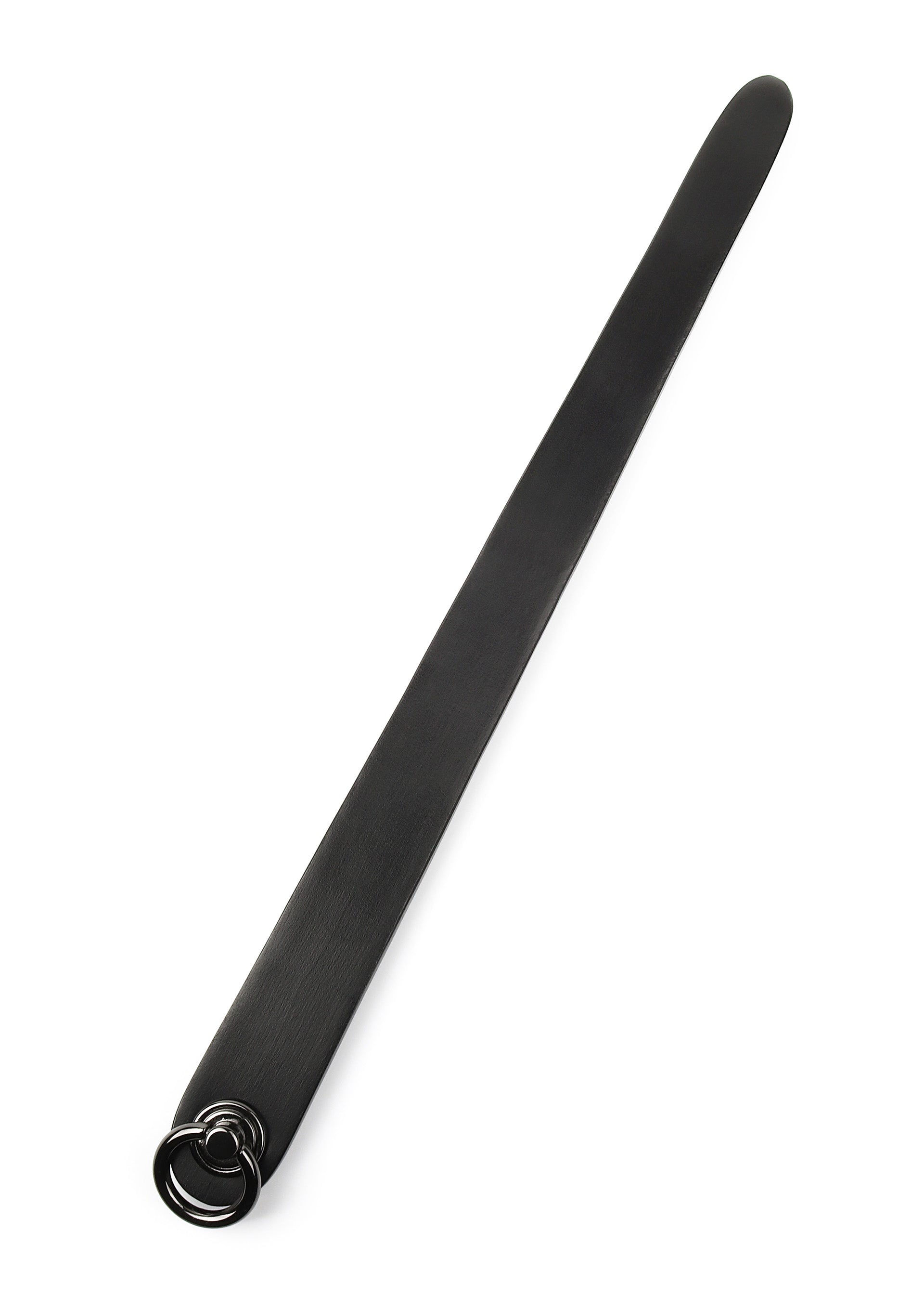 Hidden Desire Genuine Leather Ruler