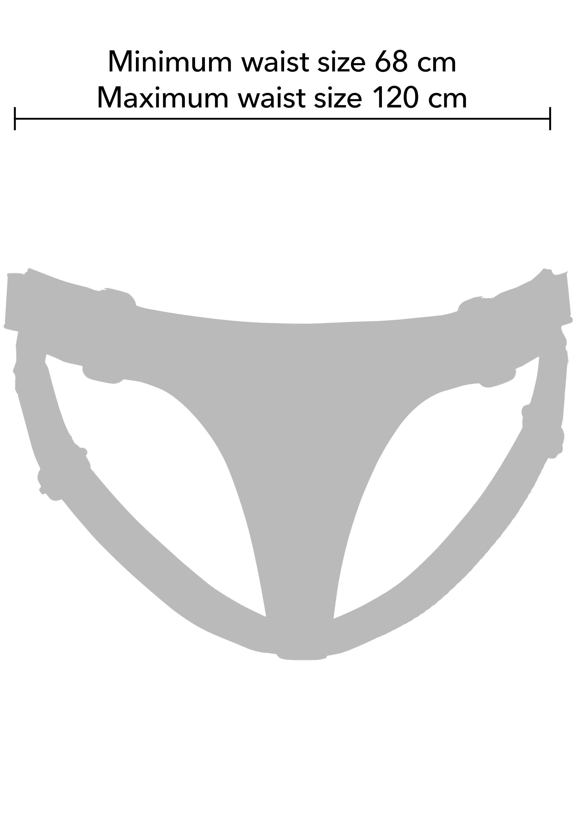 Hidden Desire Classic Strap-On