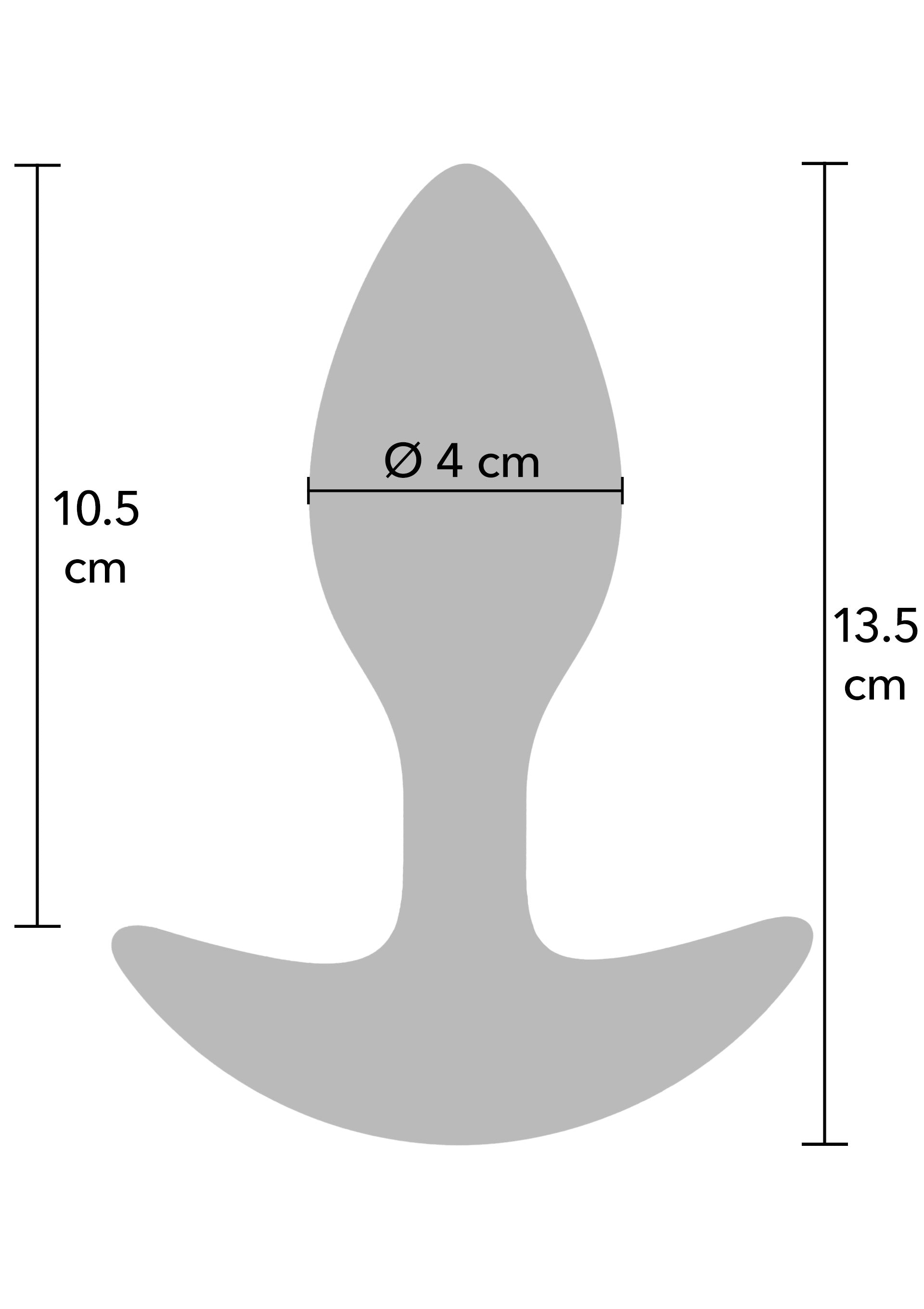 Hidden Desire Weighted Anal Plug 360g