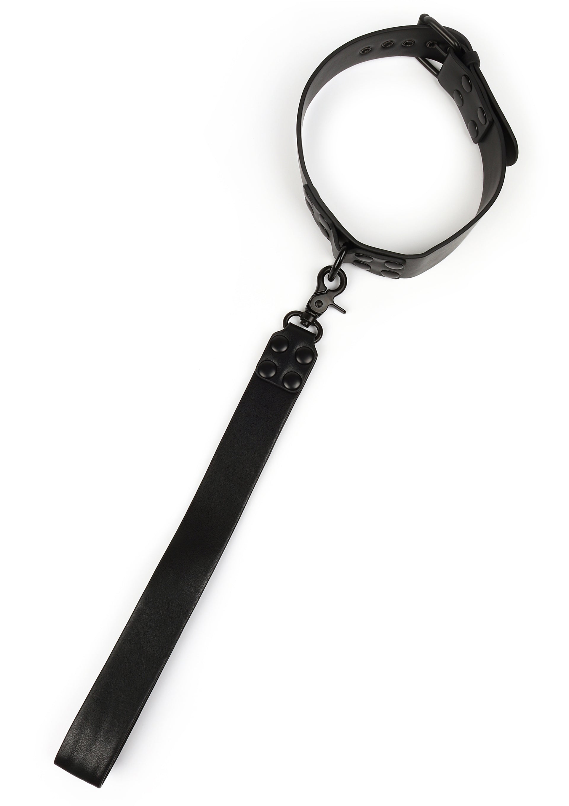 Avanza Signature Collar & Short Leash