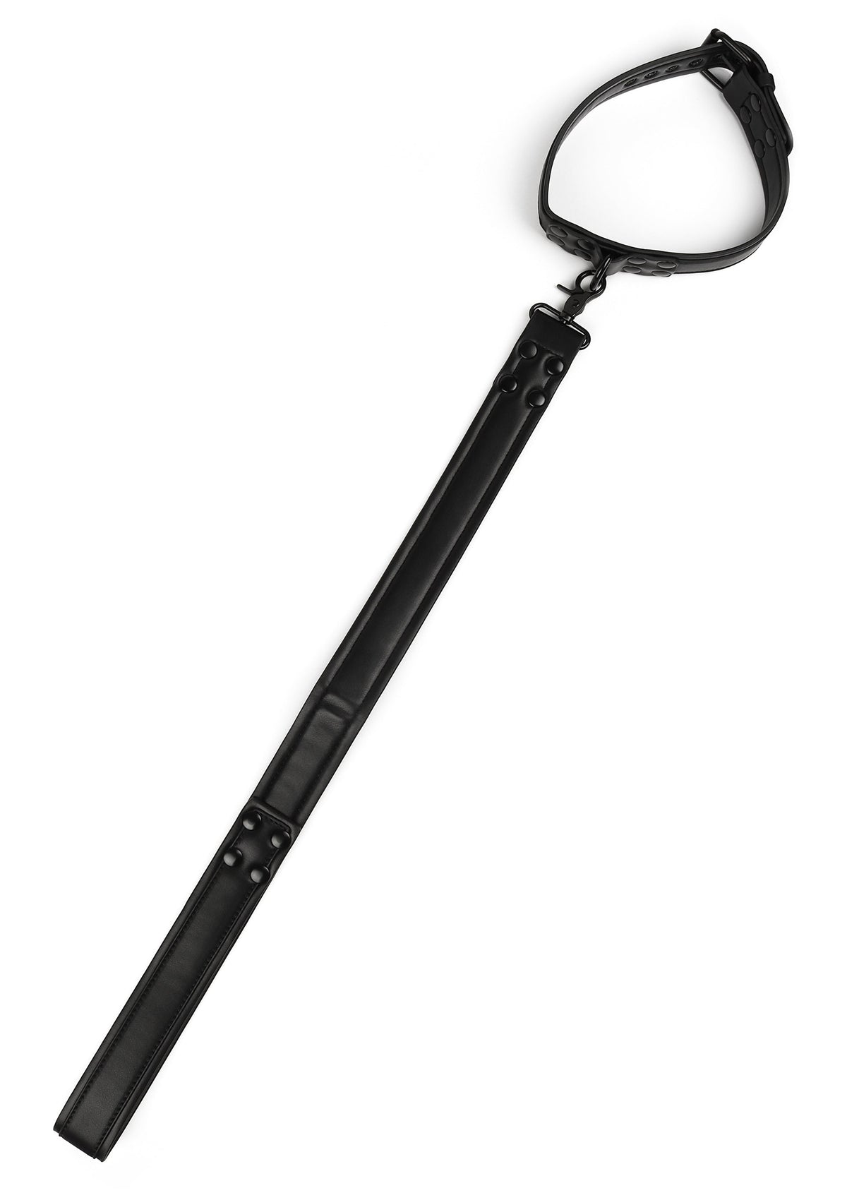 Avanza Signature Collar & Leash
