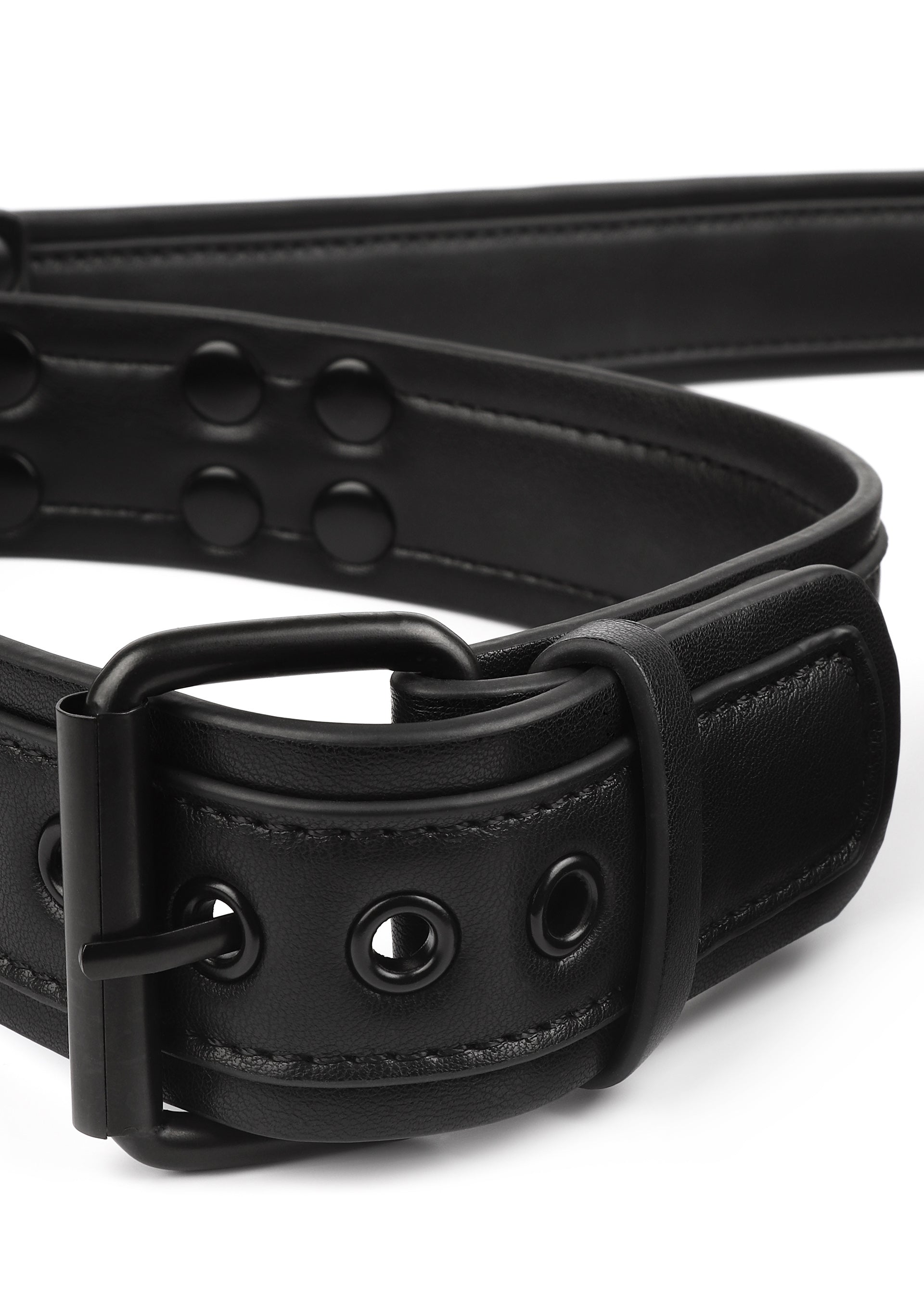Avanza Signature Collar & Leash