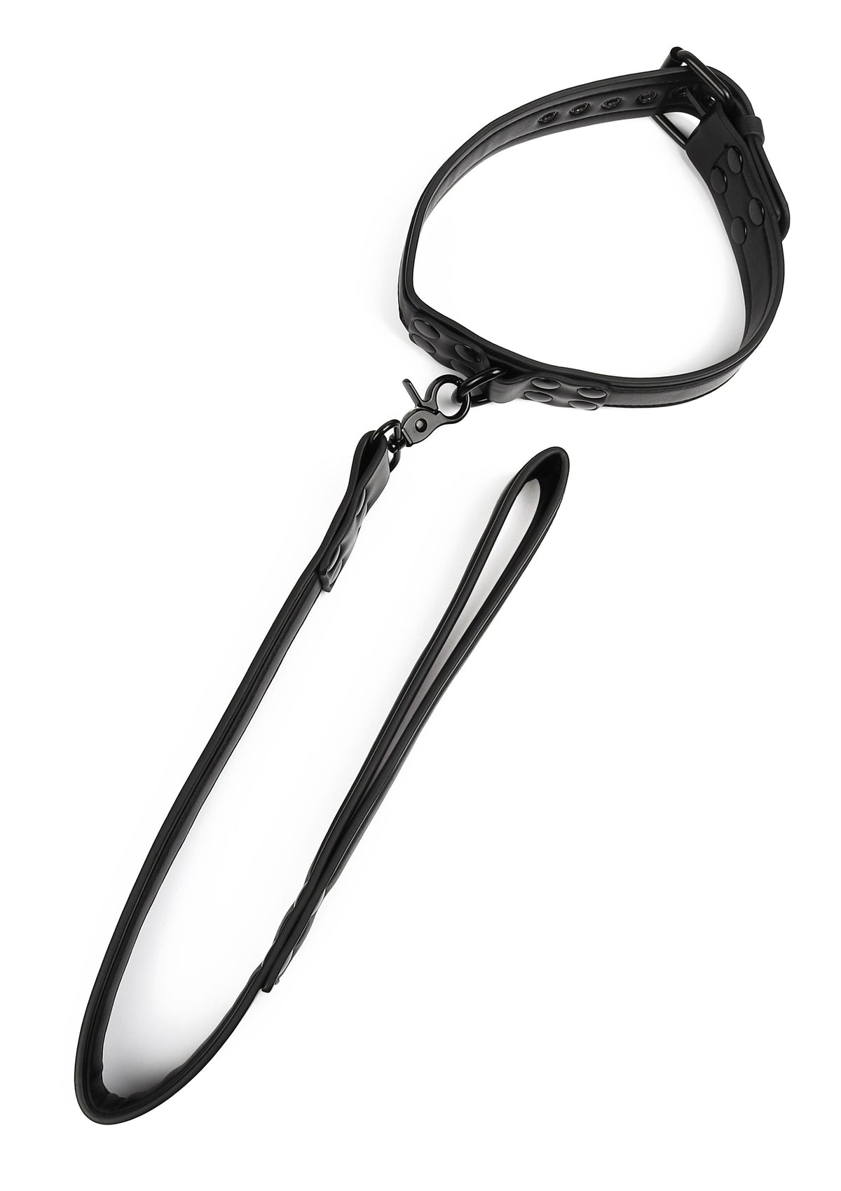 Avanza Signature Collar & Leash