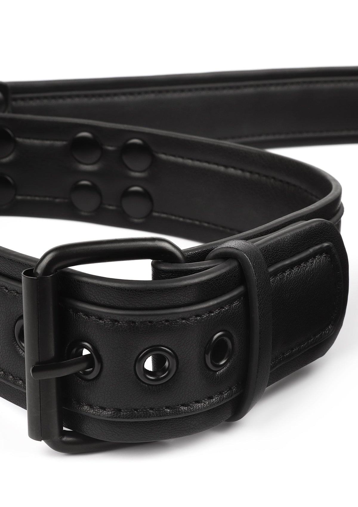 Avanza Signature Collar & Leash