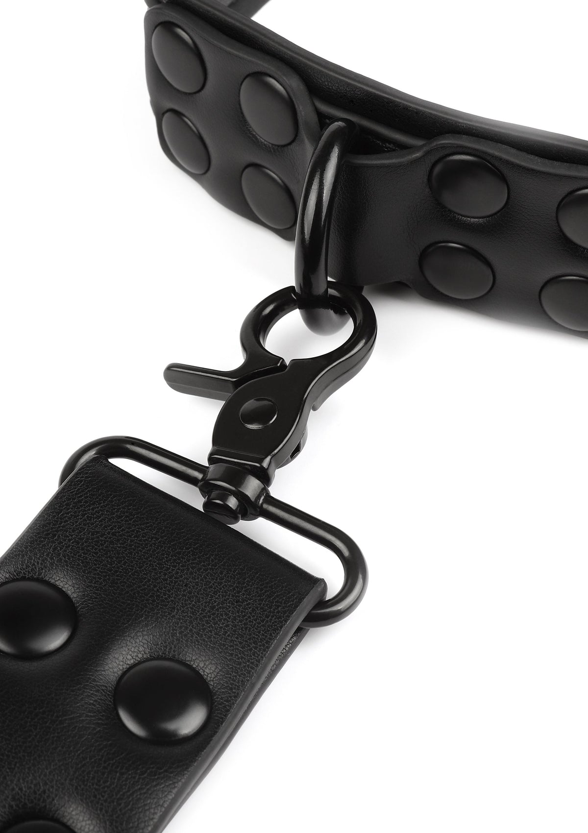 Avanza Signature Collar & Leash