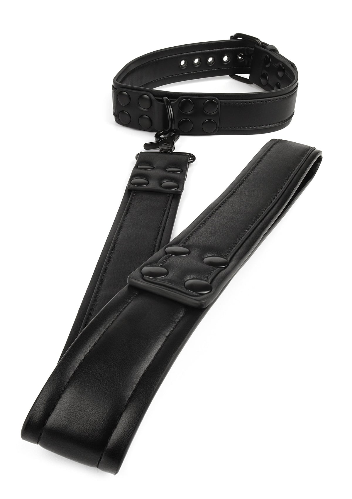Avanza Signature Collar & Leash