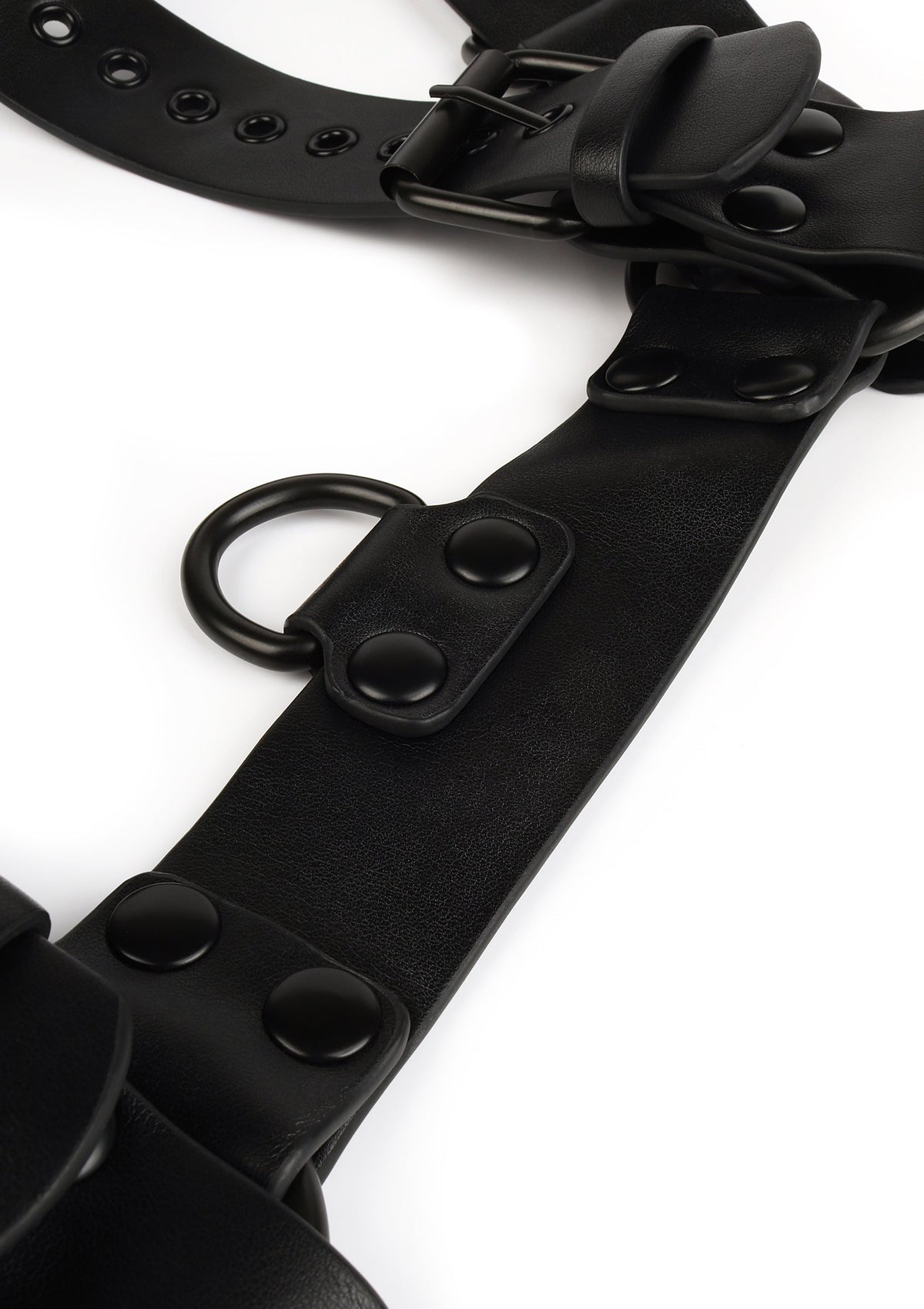 Avanza Core Body Harness