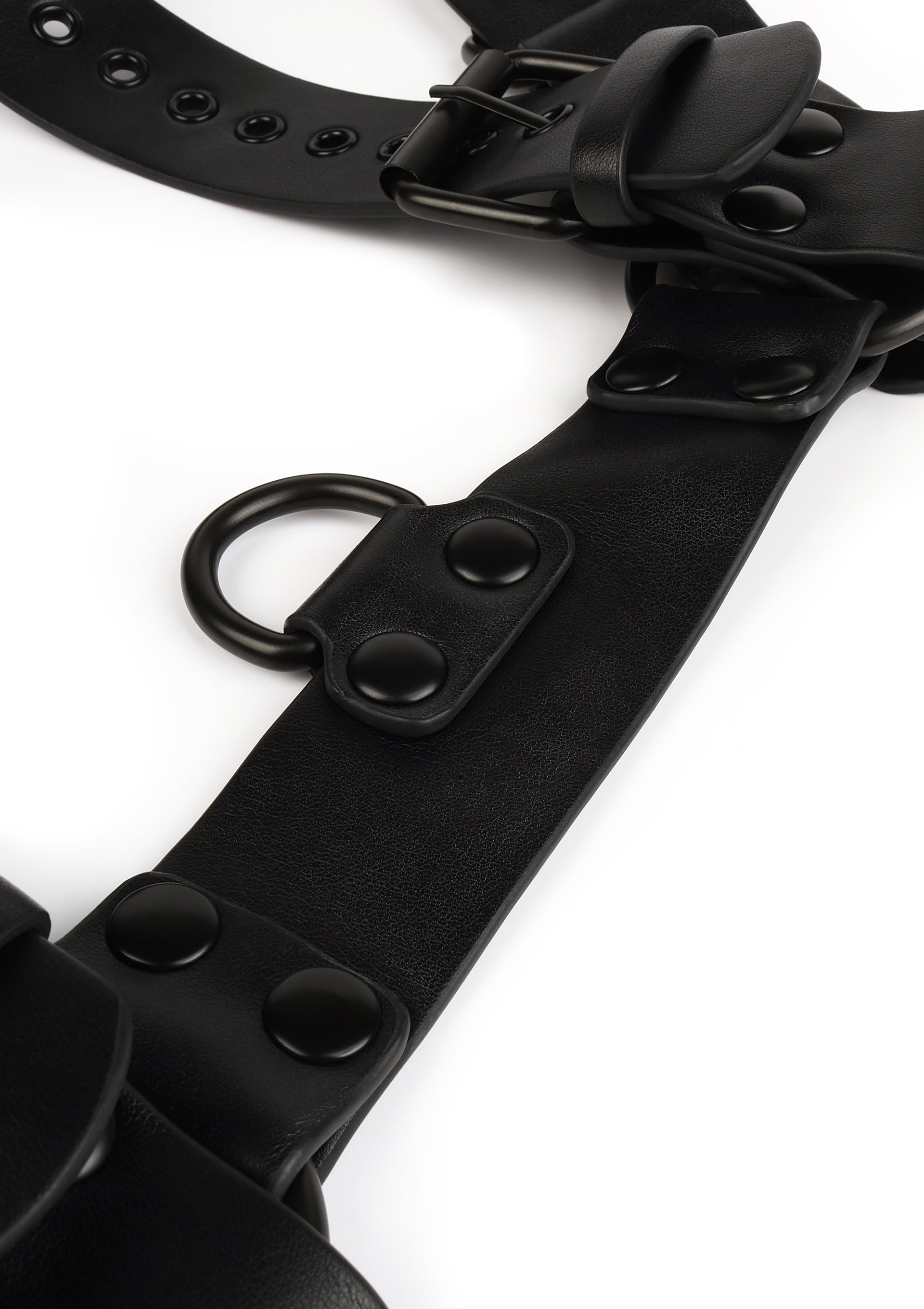 Avanza Core Body Harness
