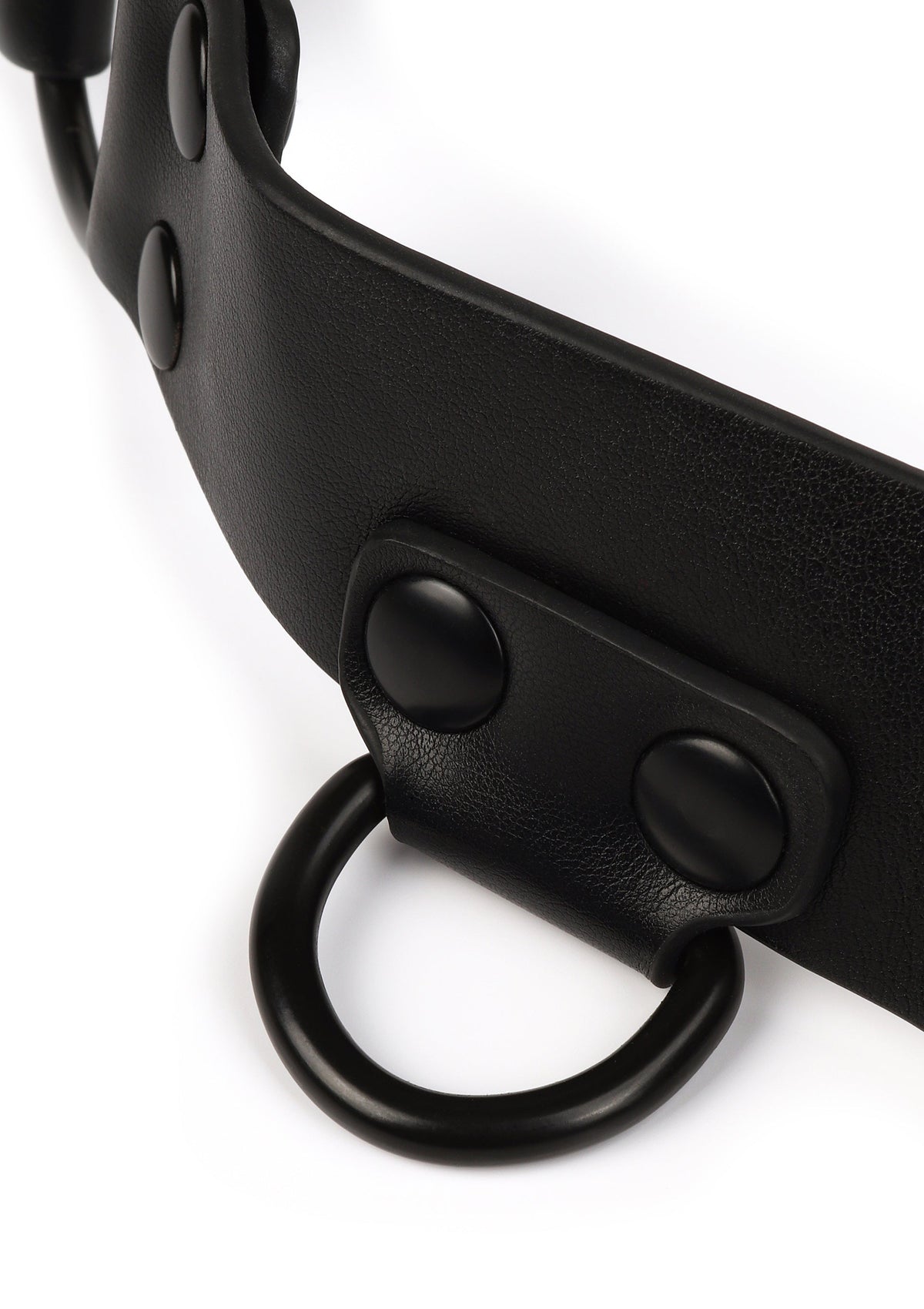 Avanza Core Body Harness