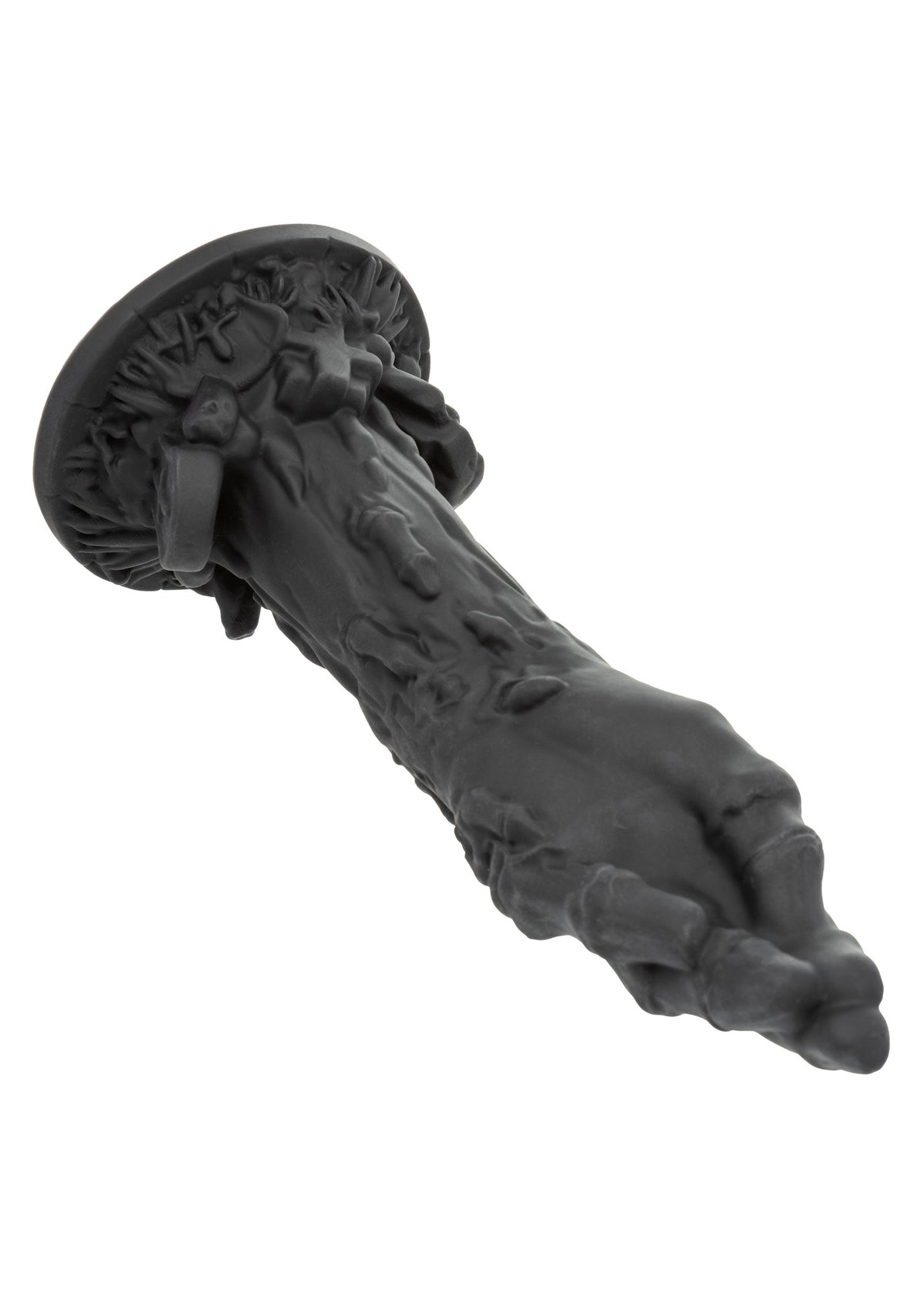 CalExotics The Zombie Dong