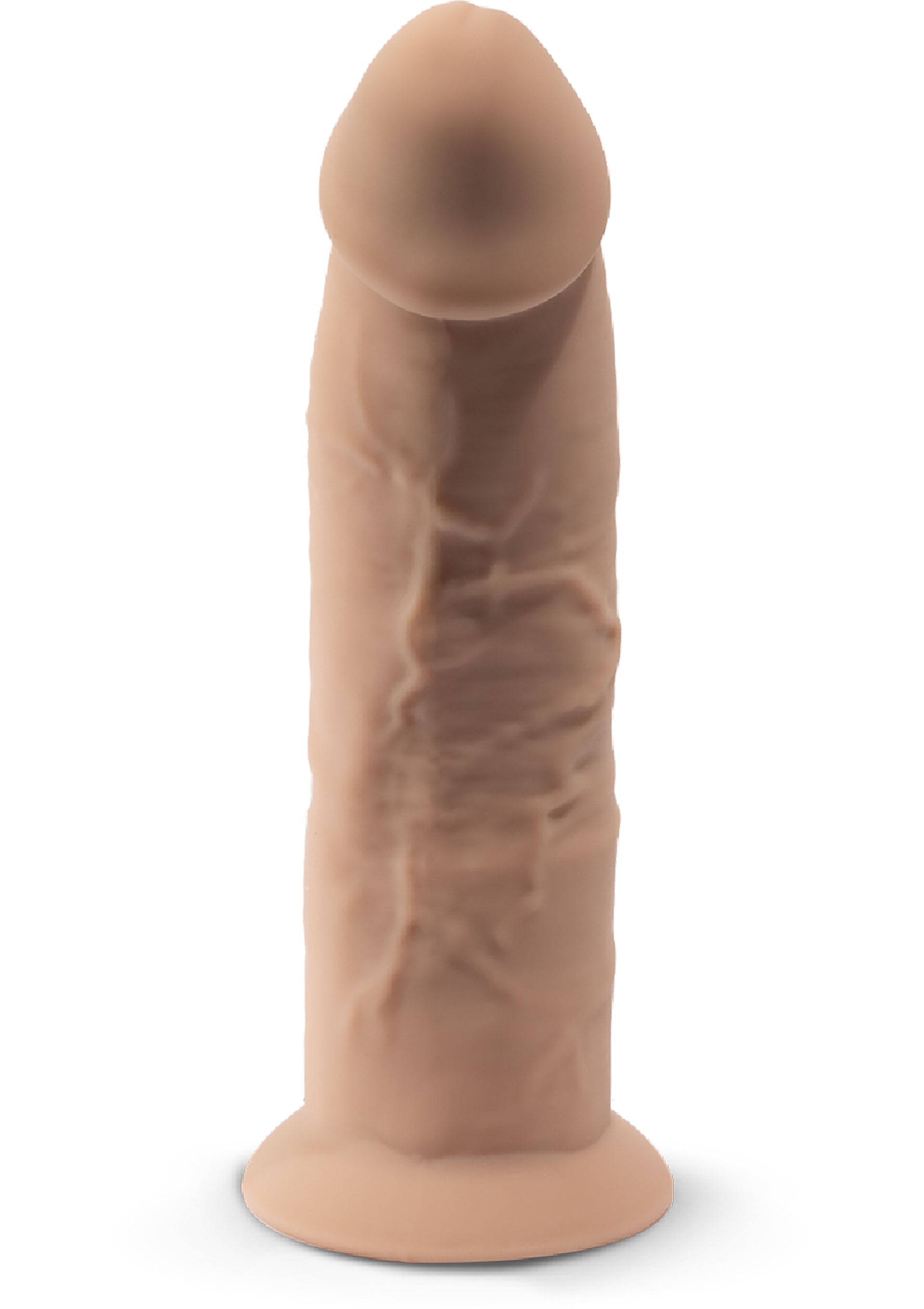 Silex-D Dong Model 6 inch