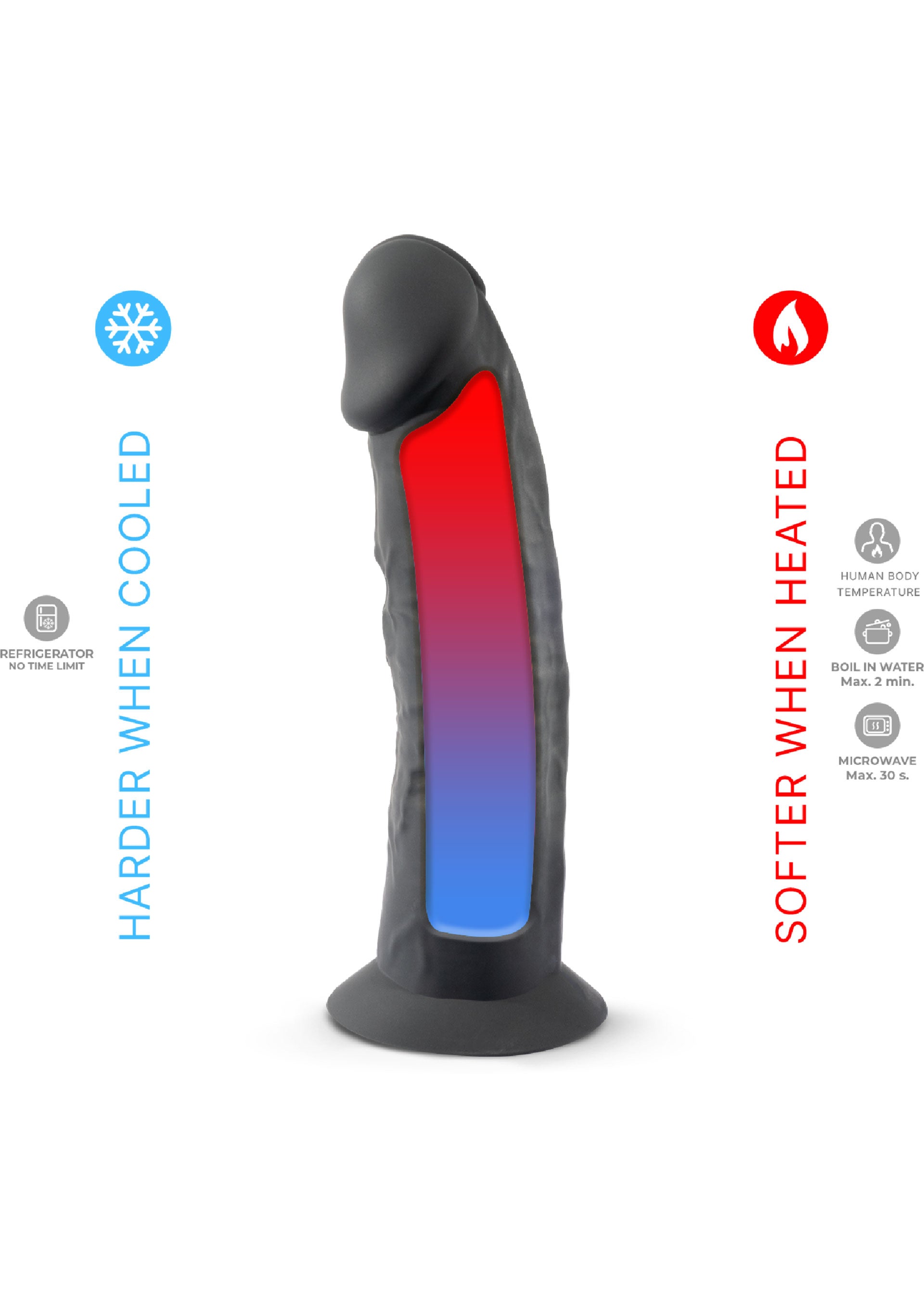 Silex-D Dong Model 7.5 inch