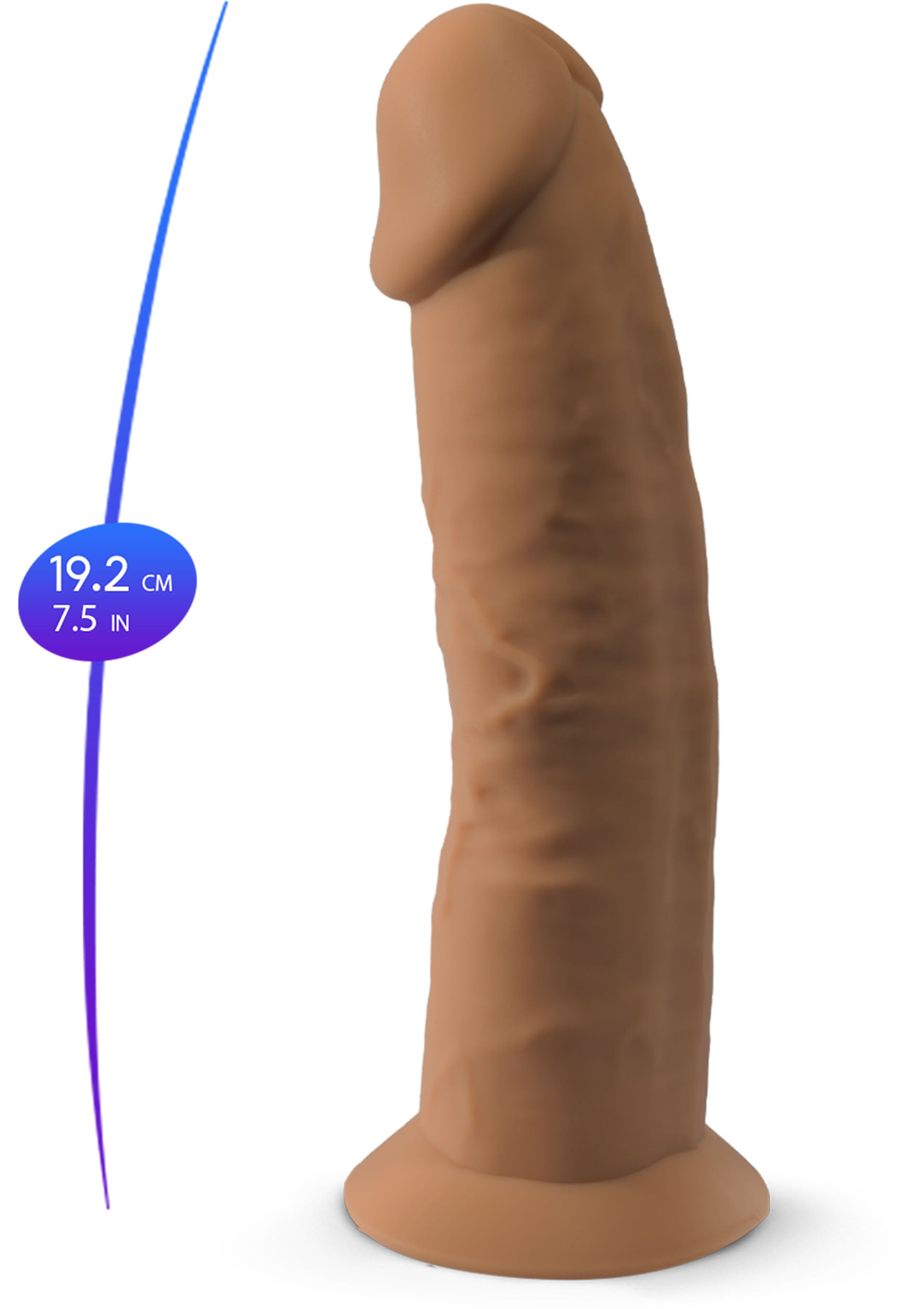Silex-D Dong Model 7.5 inch